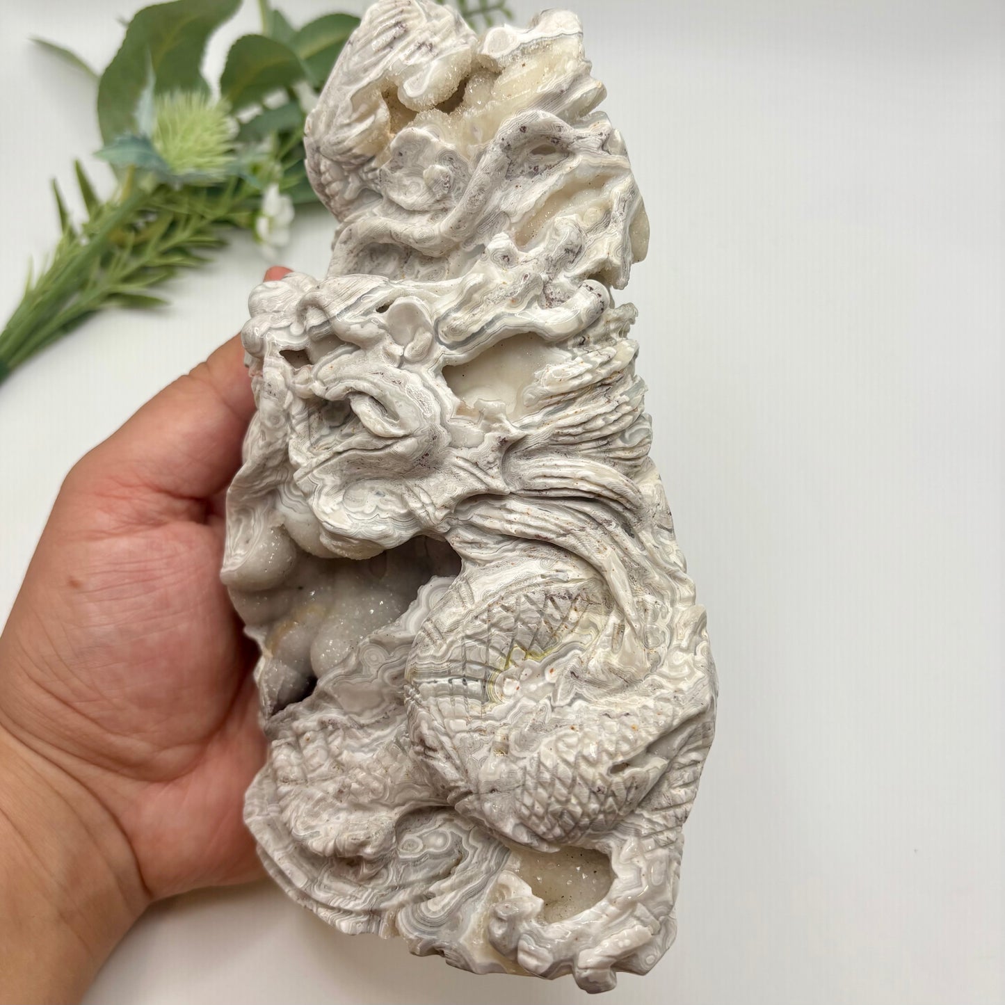 Mexican Crazy Lace Agate Dragon