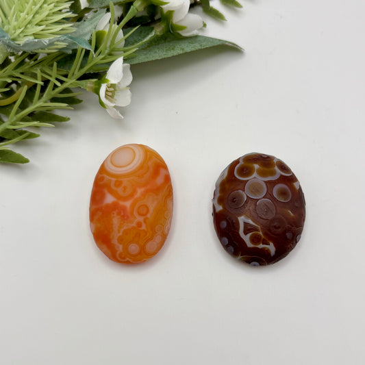 Gobi Agates (Large)