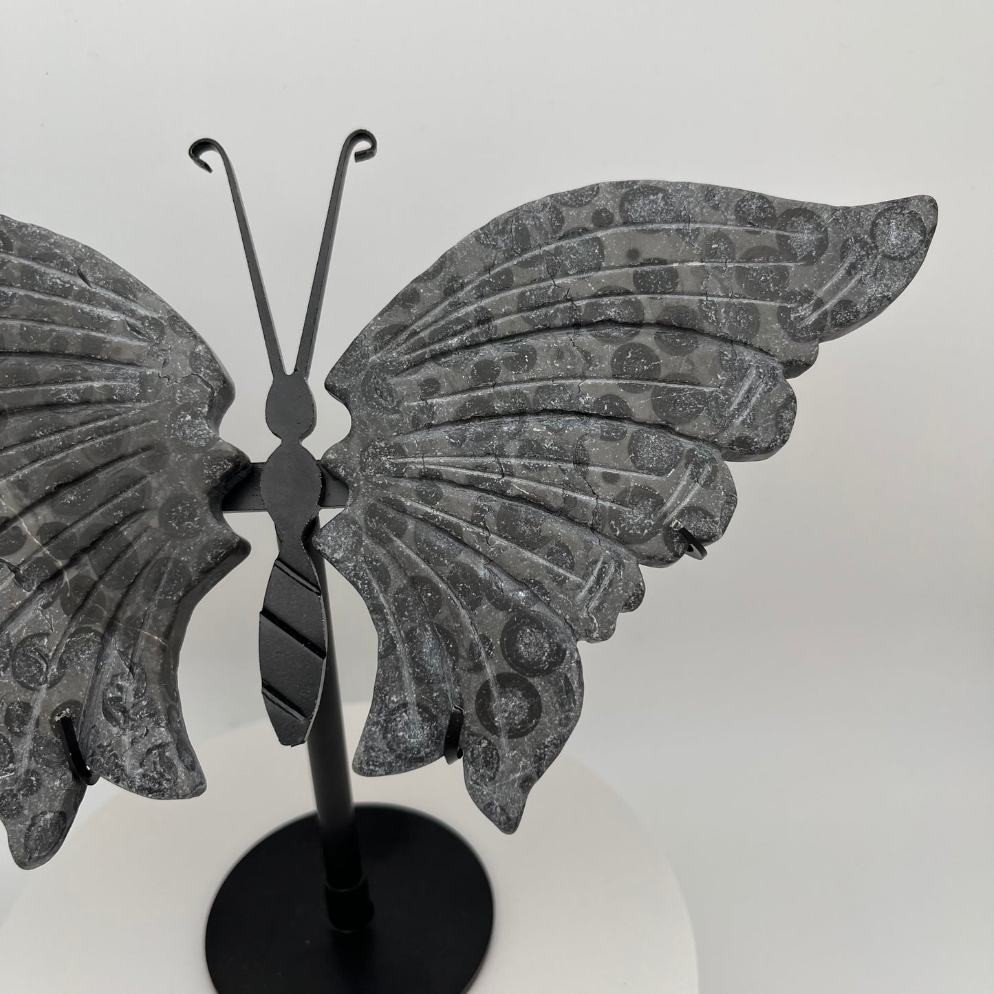 Leopard Jasper Wings