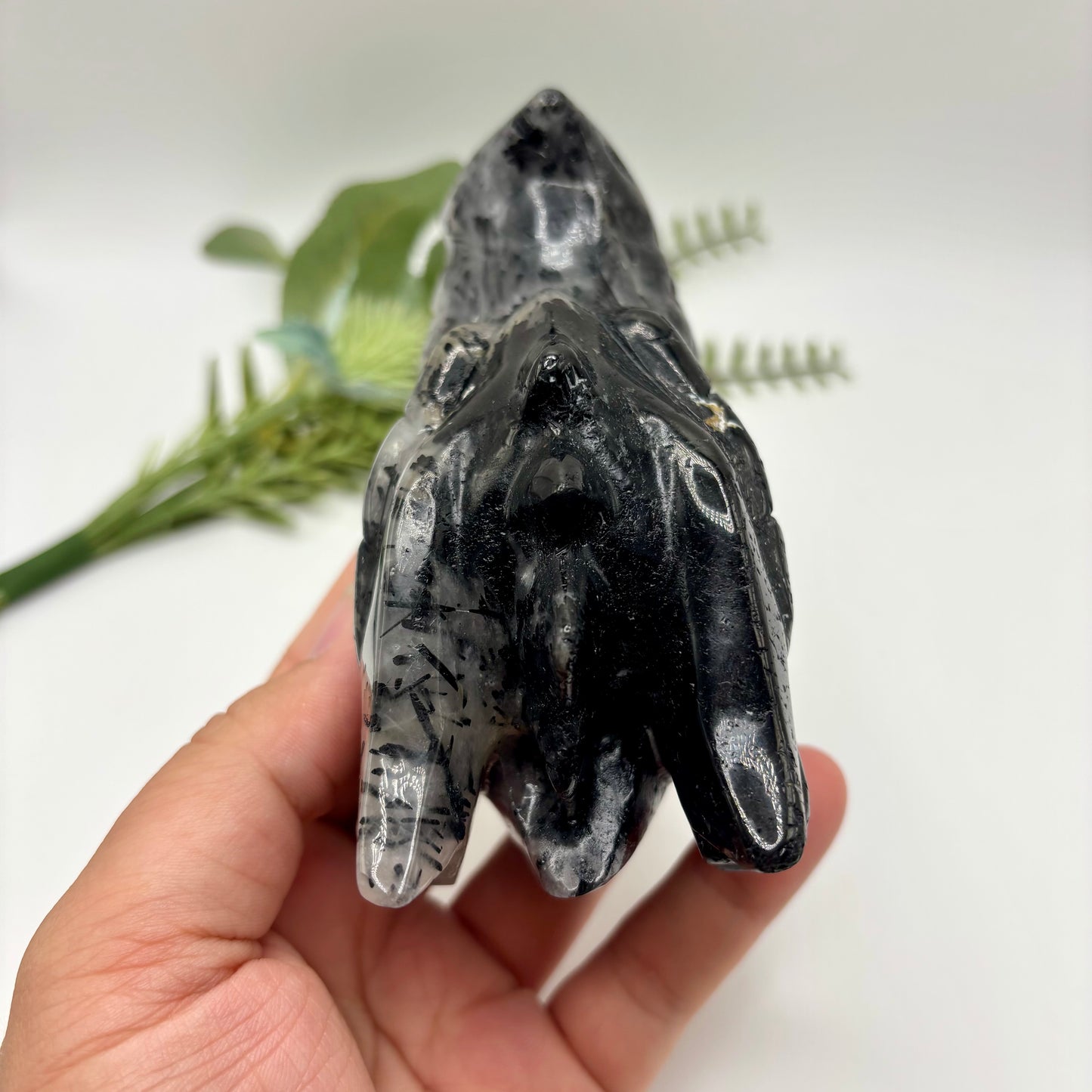 Black Tourmaline in Quartz Dragon Heads