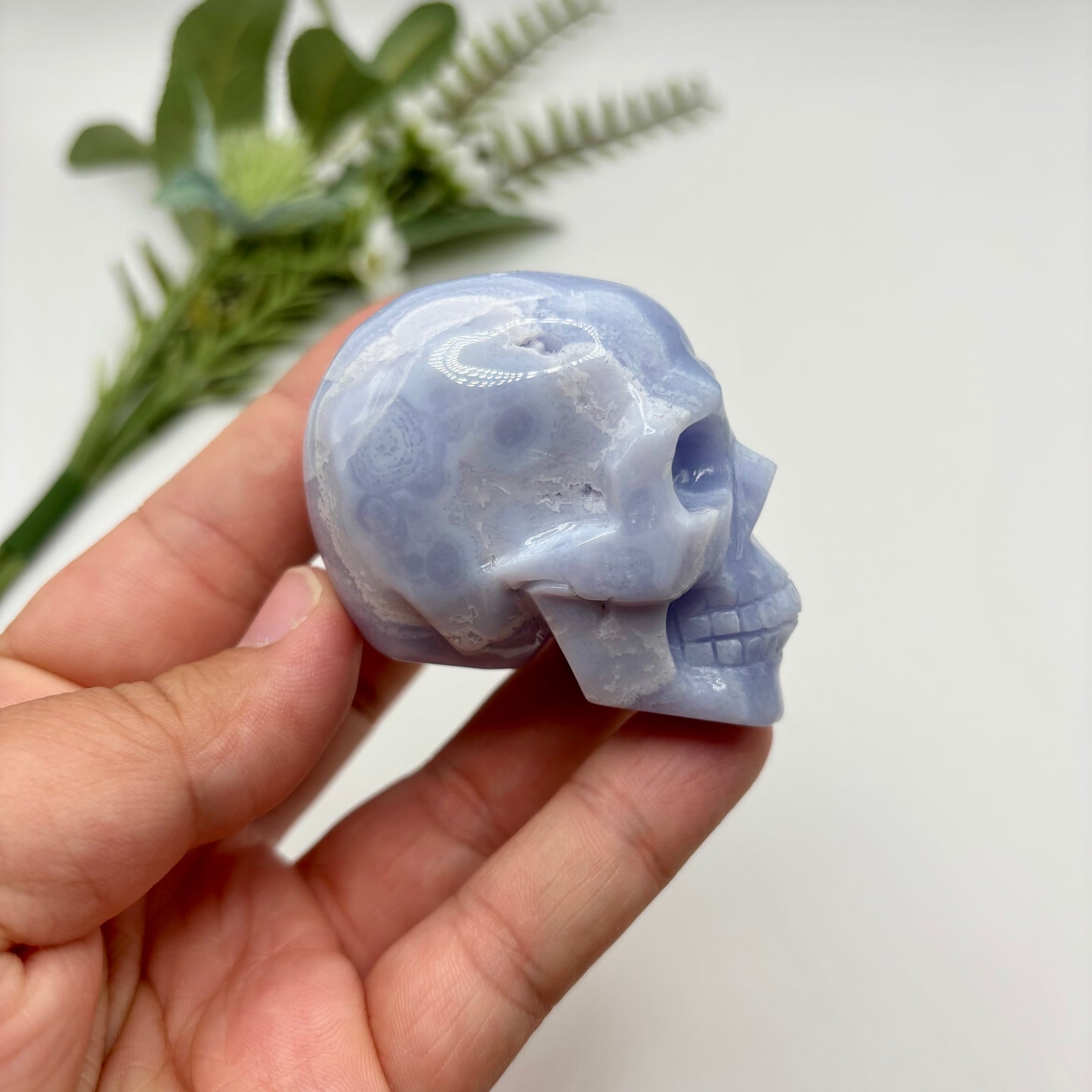 HQ Blue Lace Agate Skull