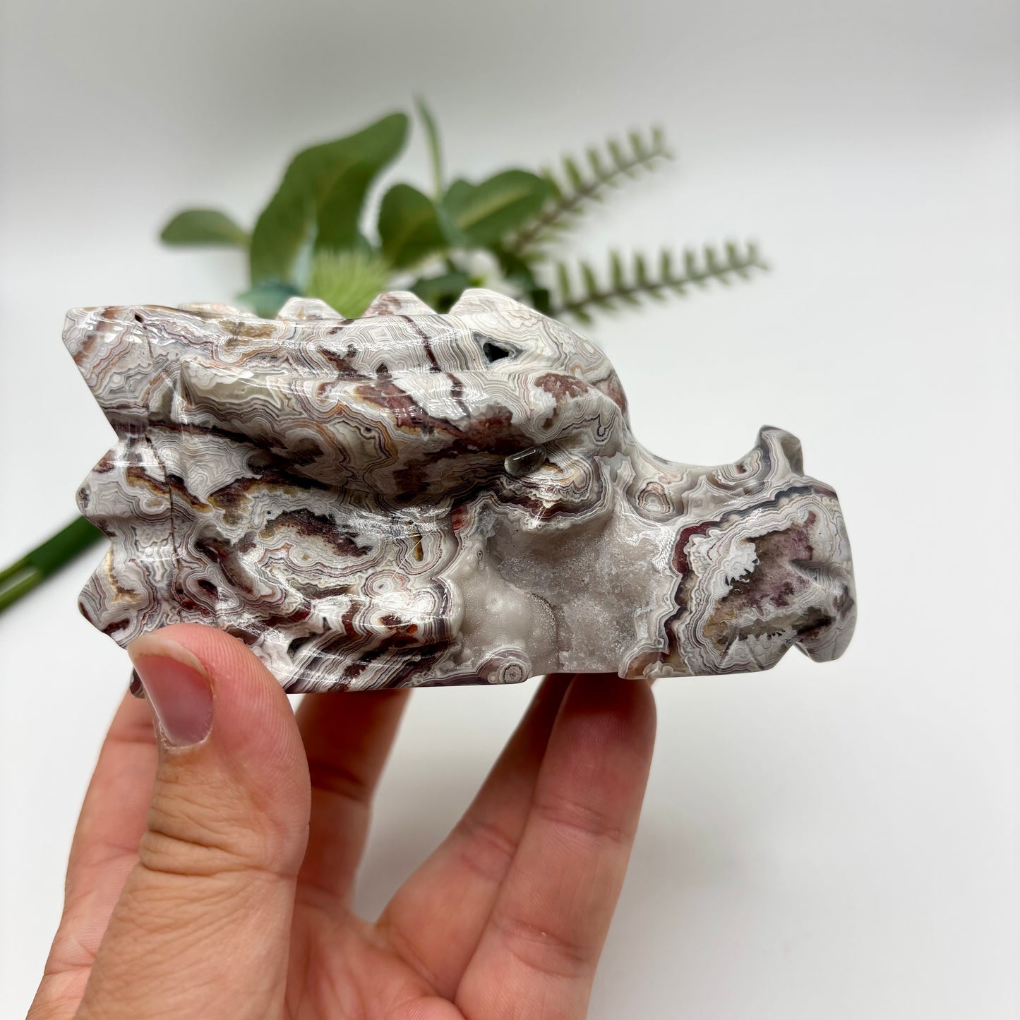 Mexican Crazy Lace Agate Dragon Heads
