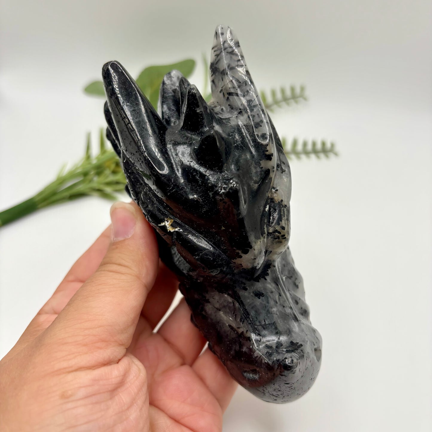 Black Tourmaline in Quartz Dragon Heads