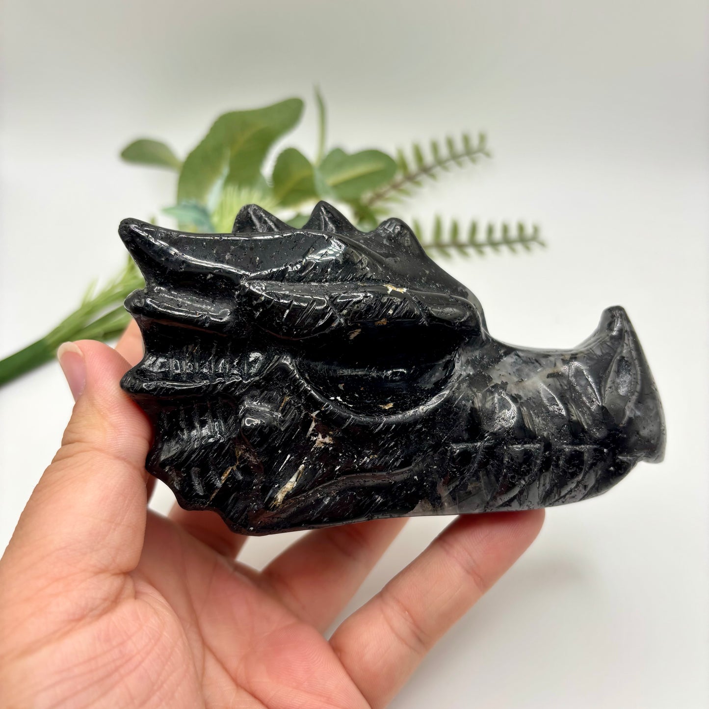 Black Tourmaline in Quartz Dragon Heads