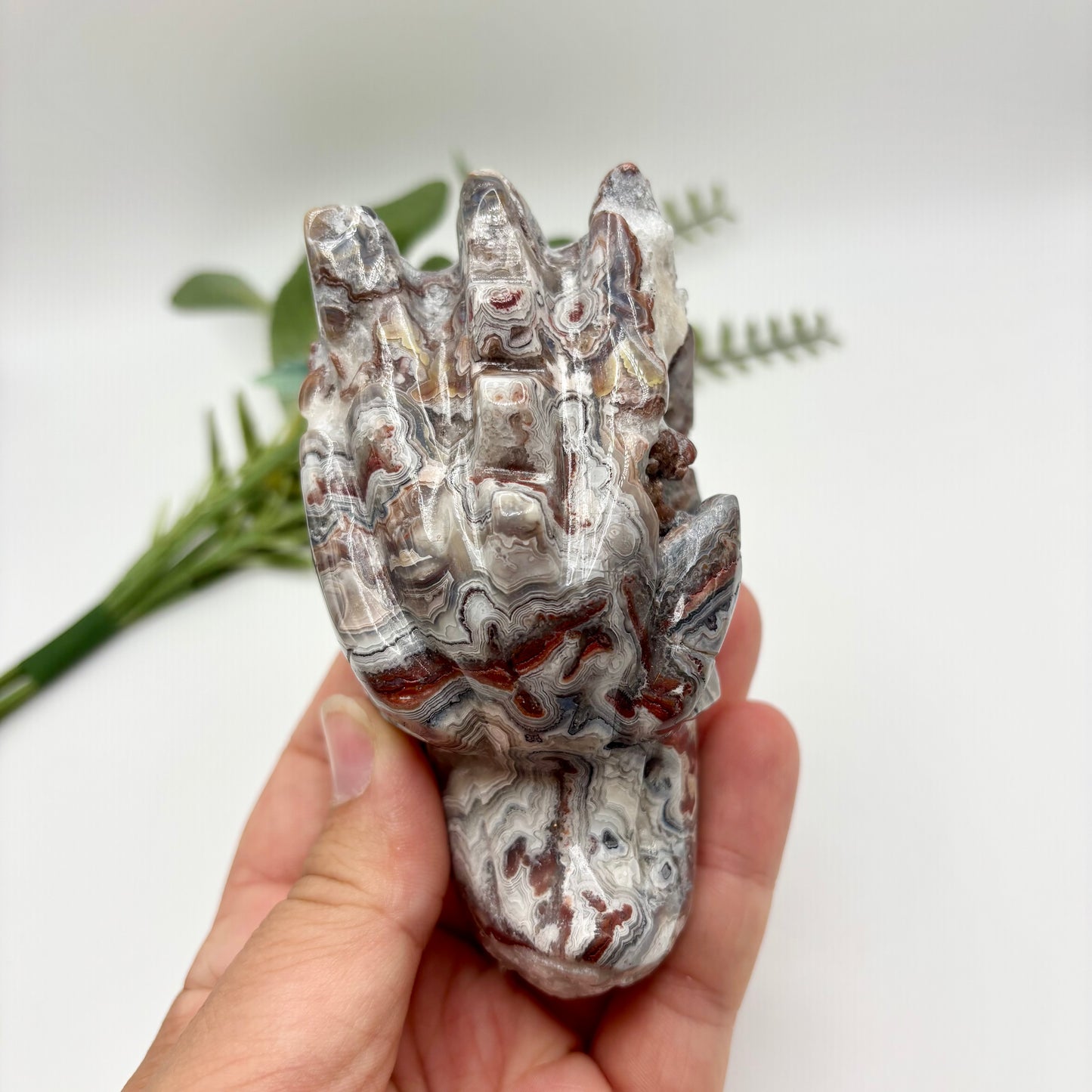 Mexican Crazy Lace Agate Dragon Heads