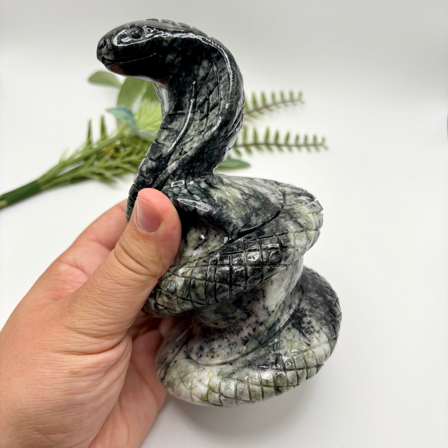 Two Toned Jade Cobra