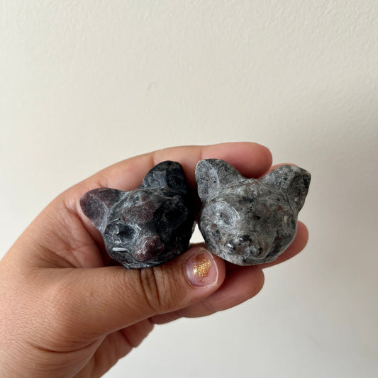 Third Eye Cats