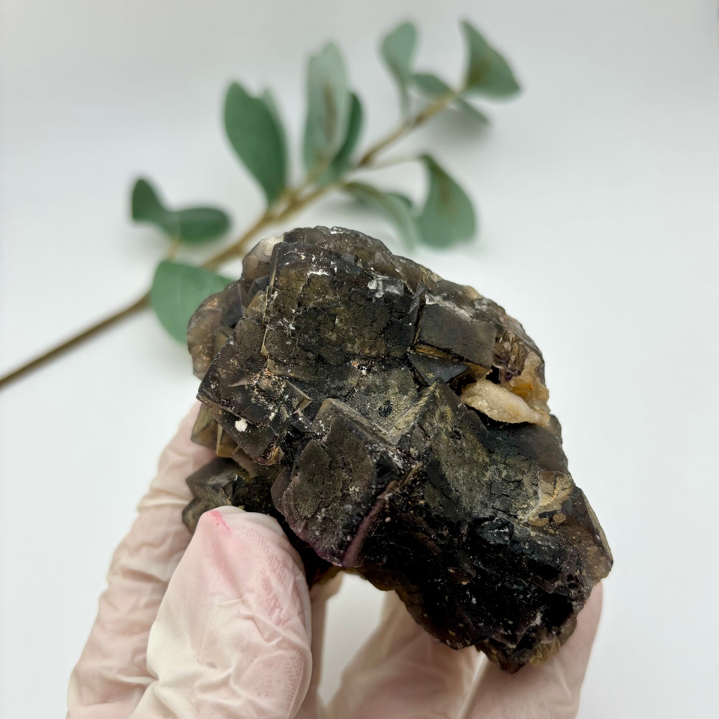 Black Fluorite Specimen