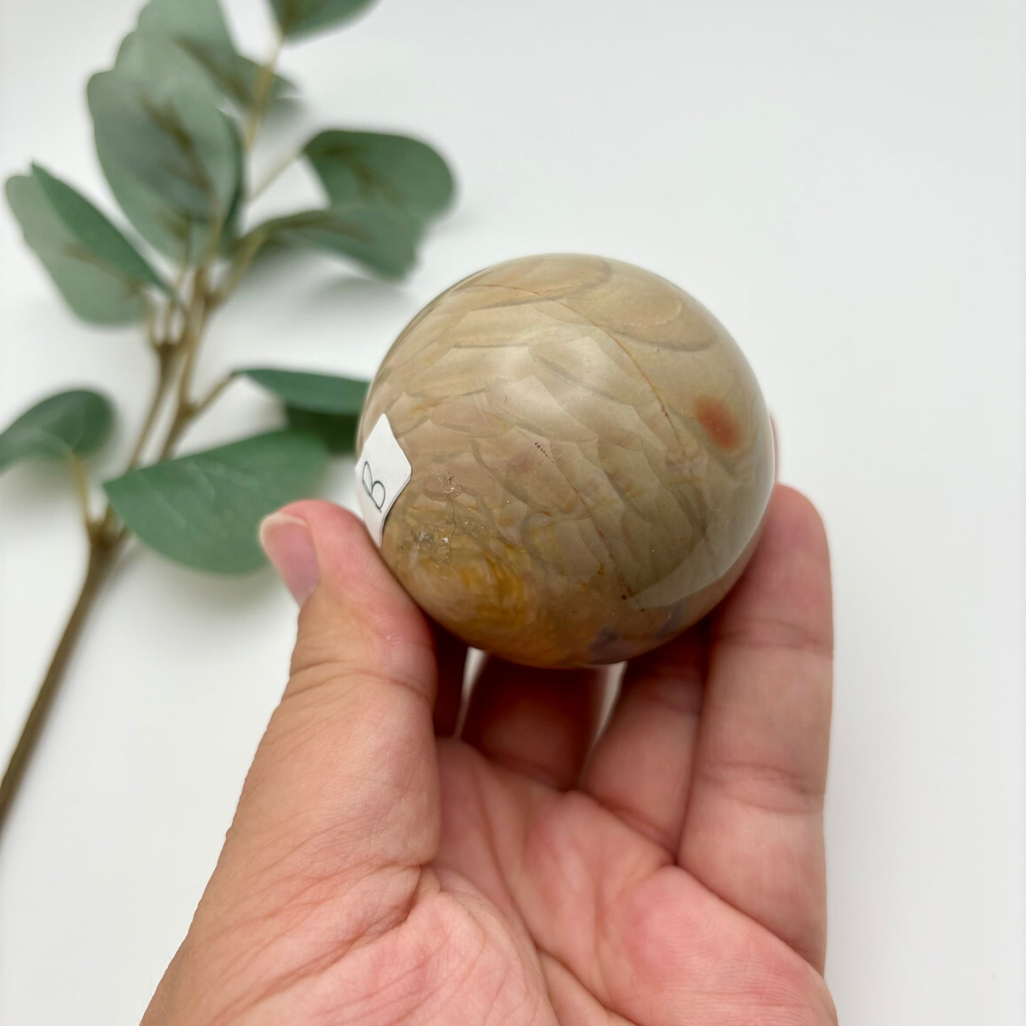 Polychrome Jasper Spheres
