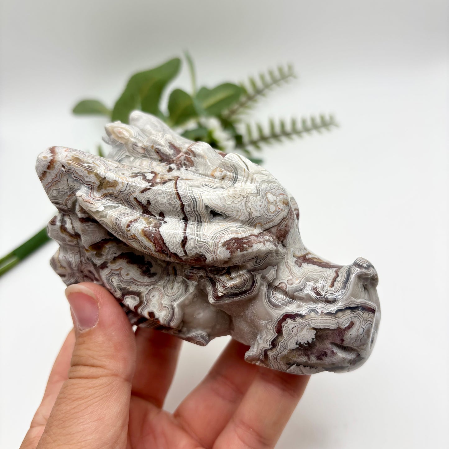 Mexican Crazy Lace Agate Dragon Heads