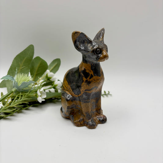 Jasper Hairless Cat