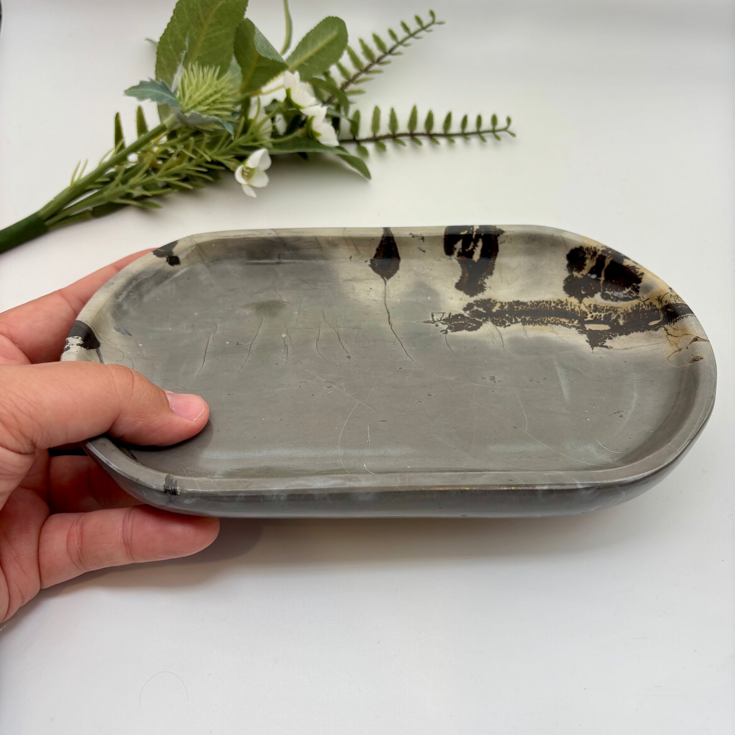 Picture Jasper Decorative Plates