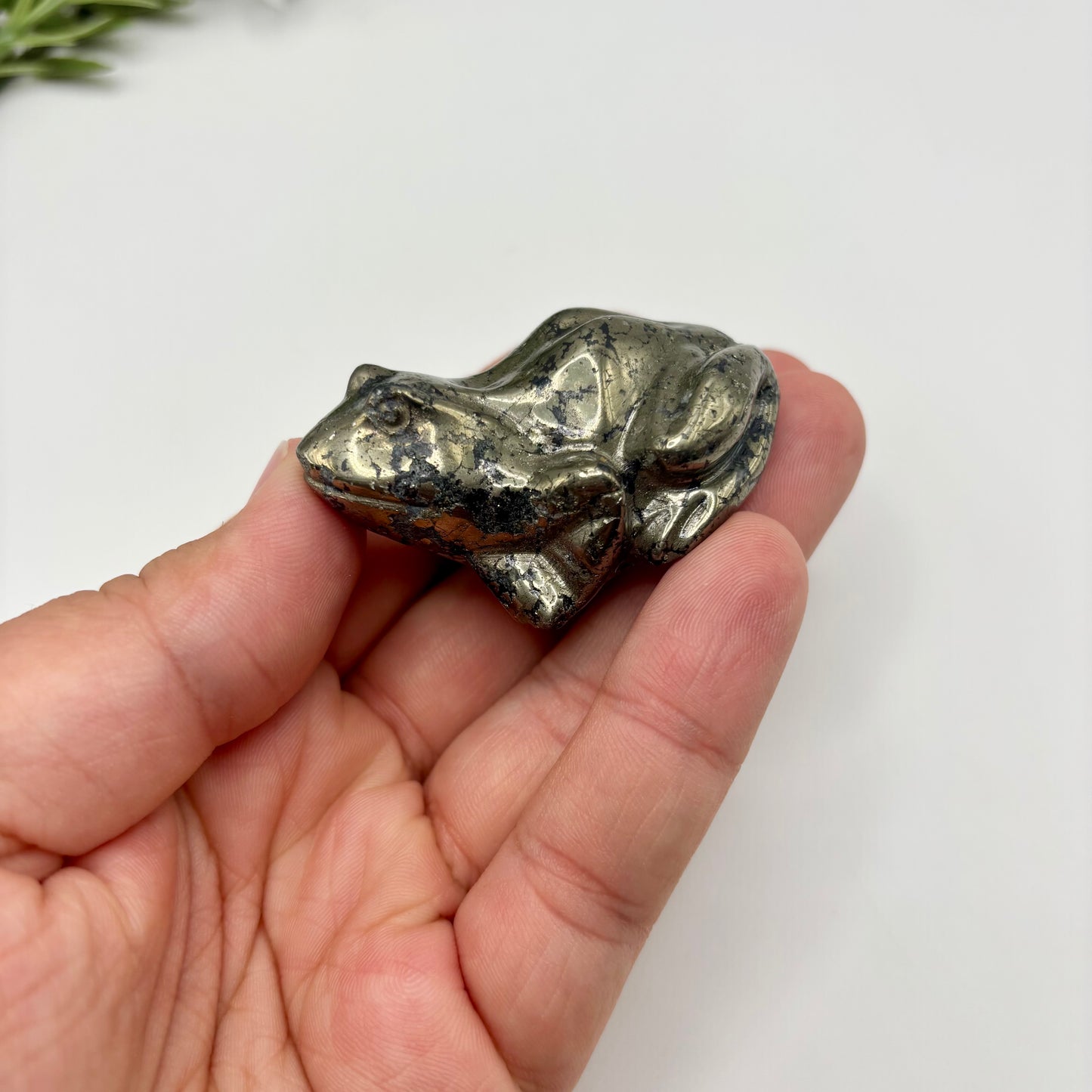 Pyrite with Shungite Frog