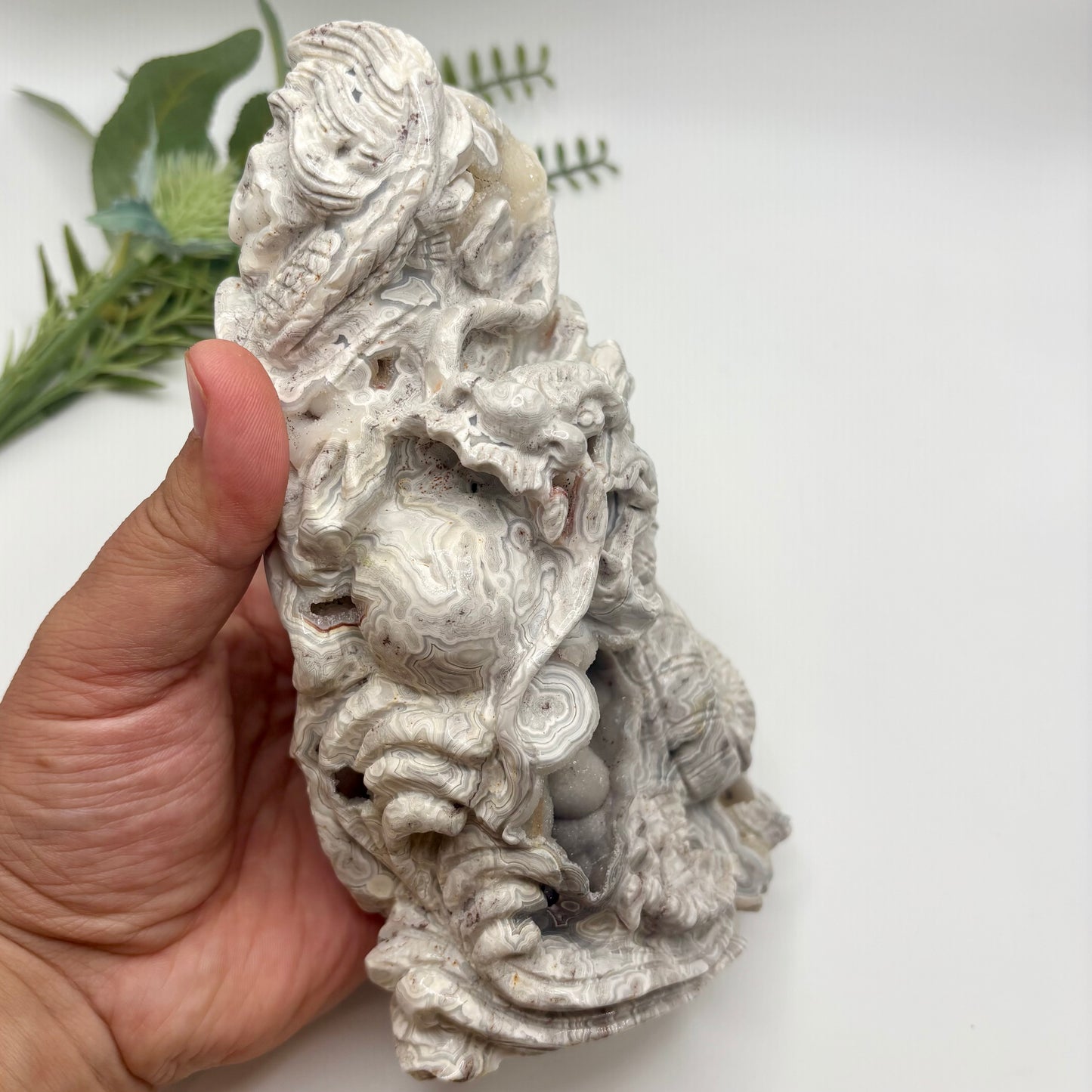 Mexican Crazy Lace Agate Dragon