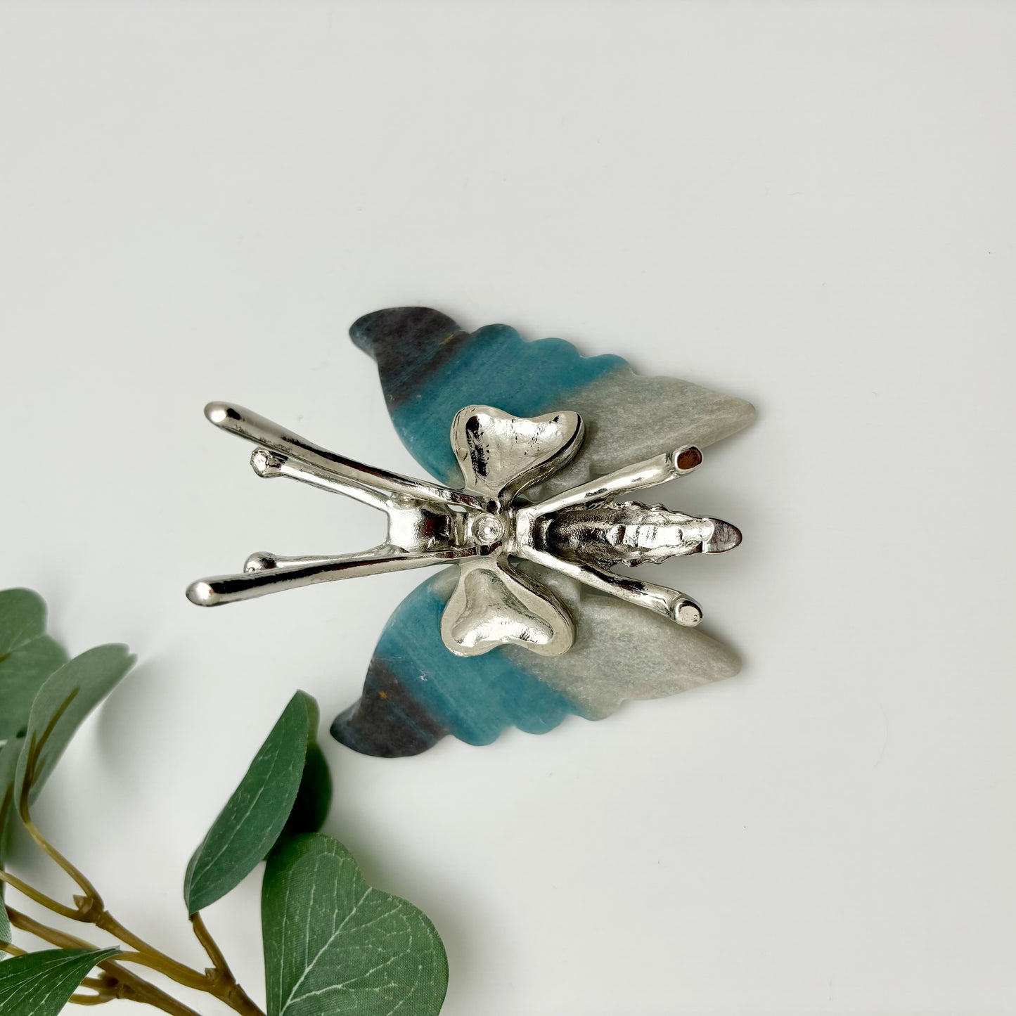Trolleite Butterfly