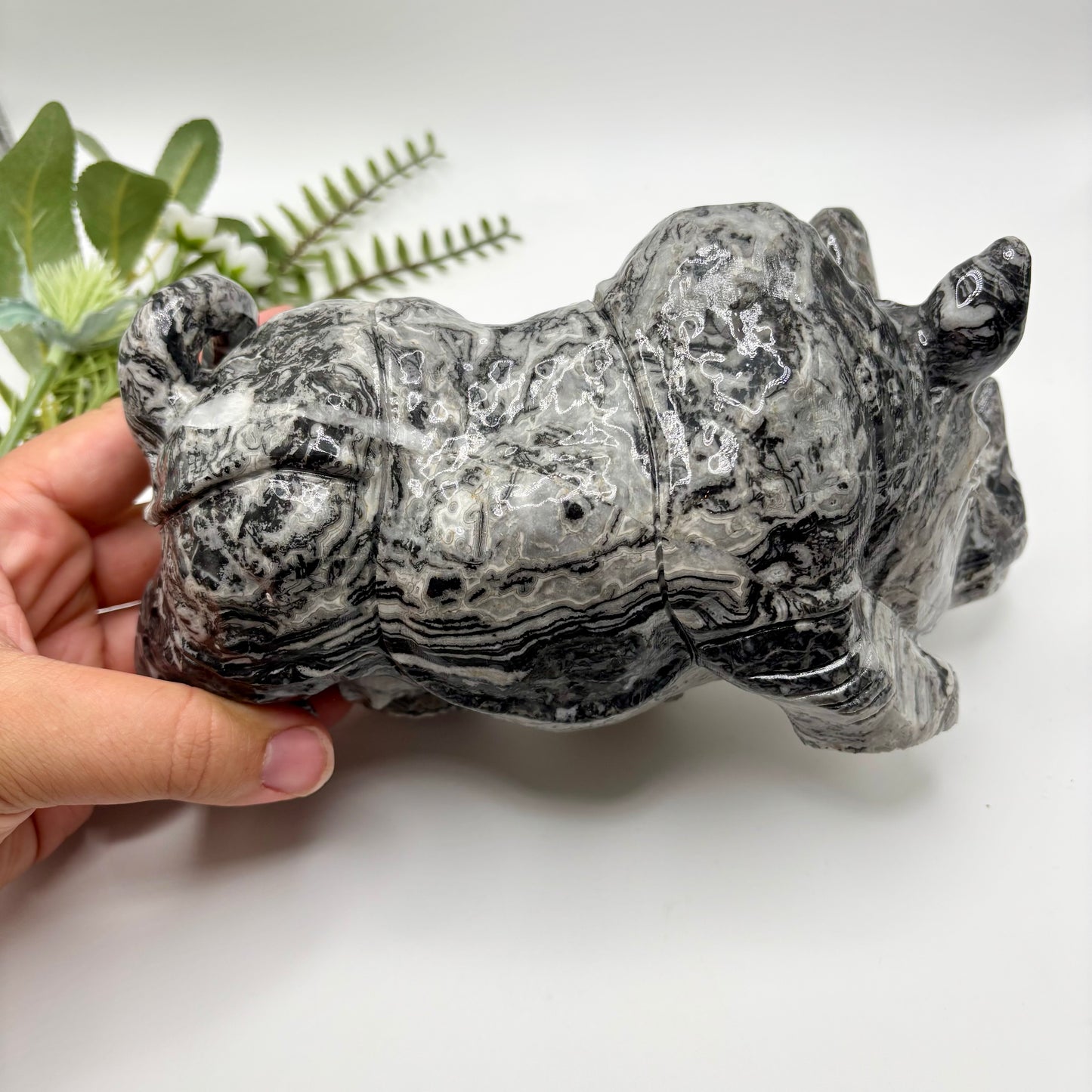XL Picasso Jasper Rhinoceros