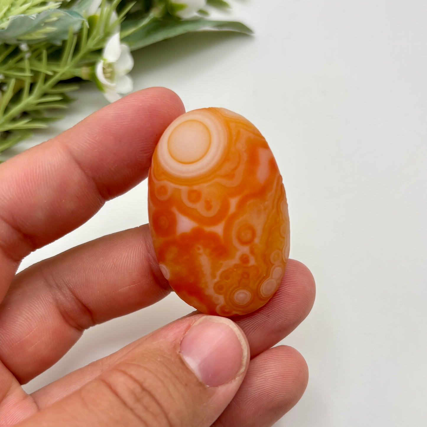 Gobi Agates (Large)