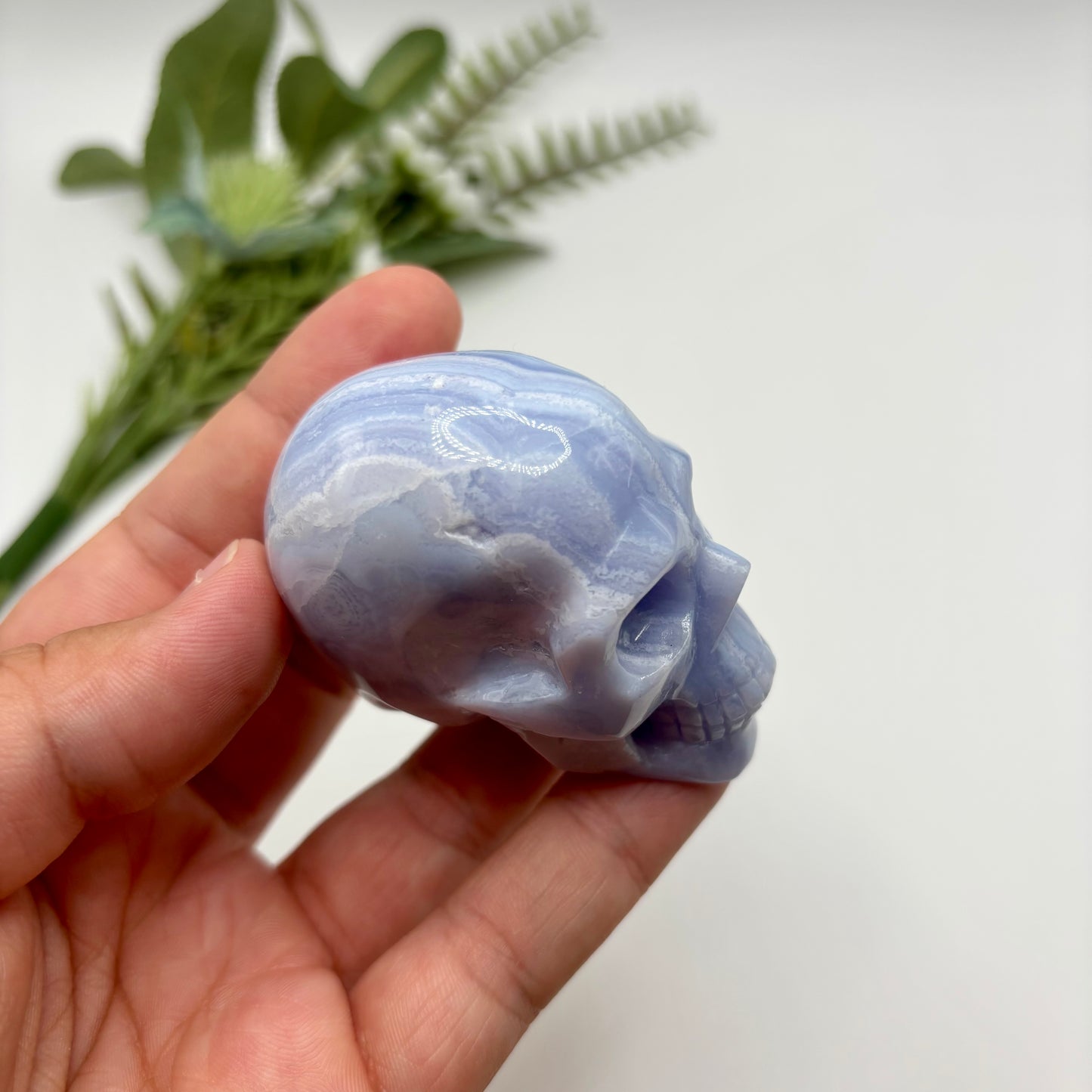 HQ Blue Lace Agate Skull