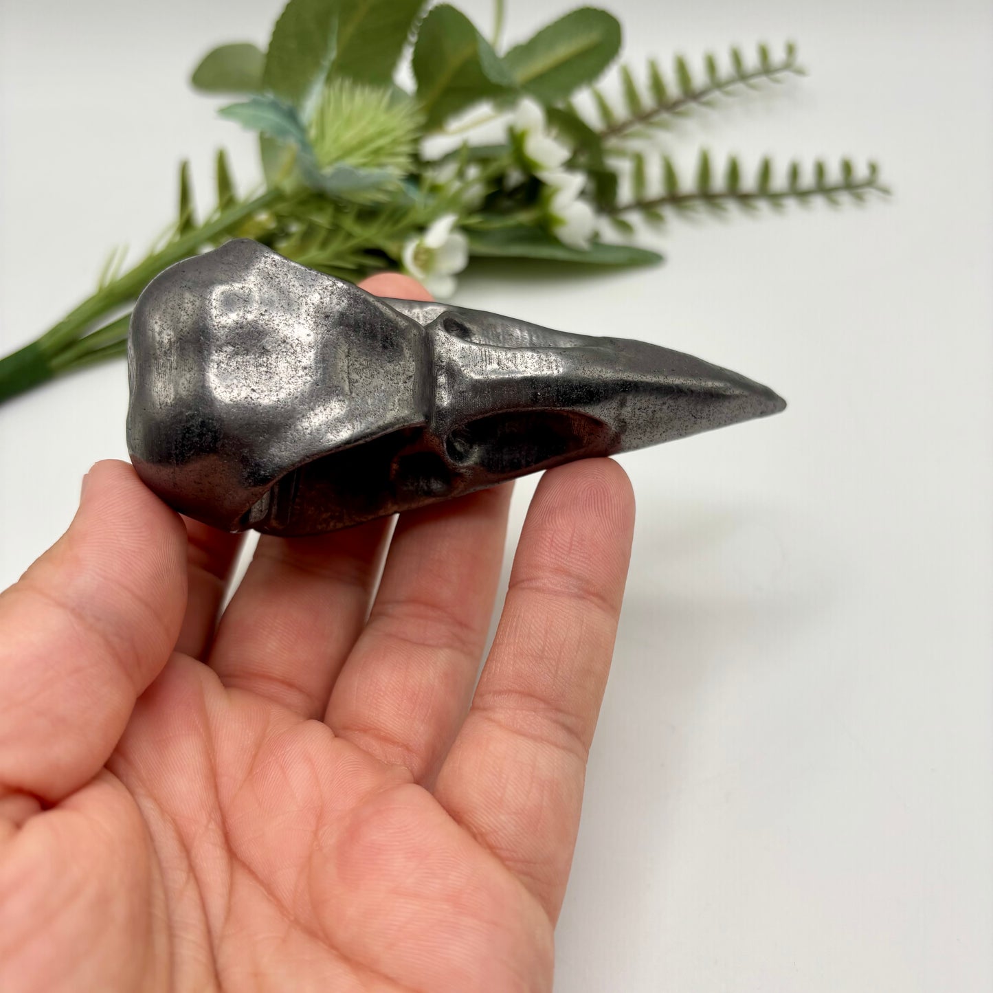 Shungite Crow Skulls
