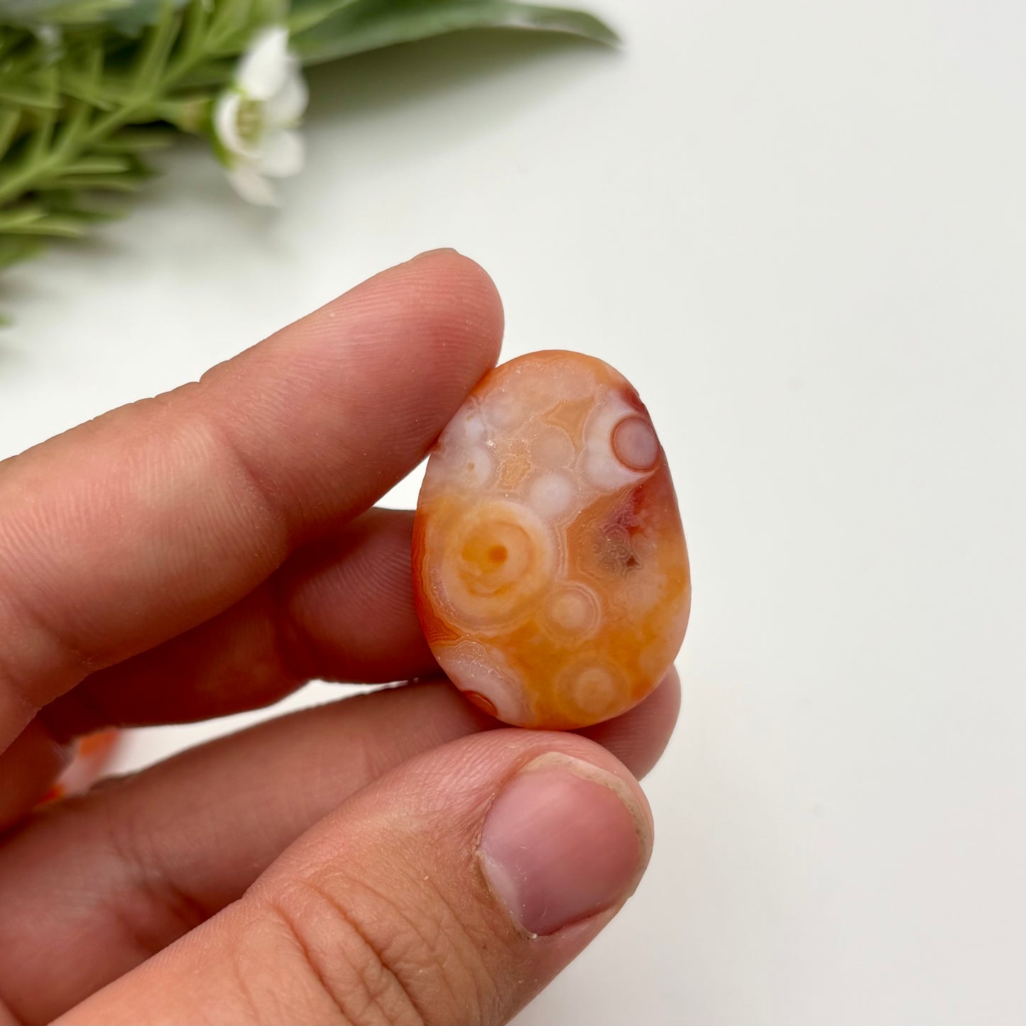 Gobi Agates (Small)