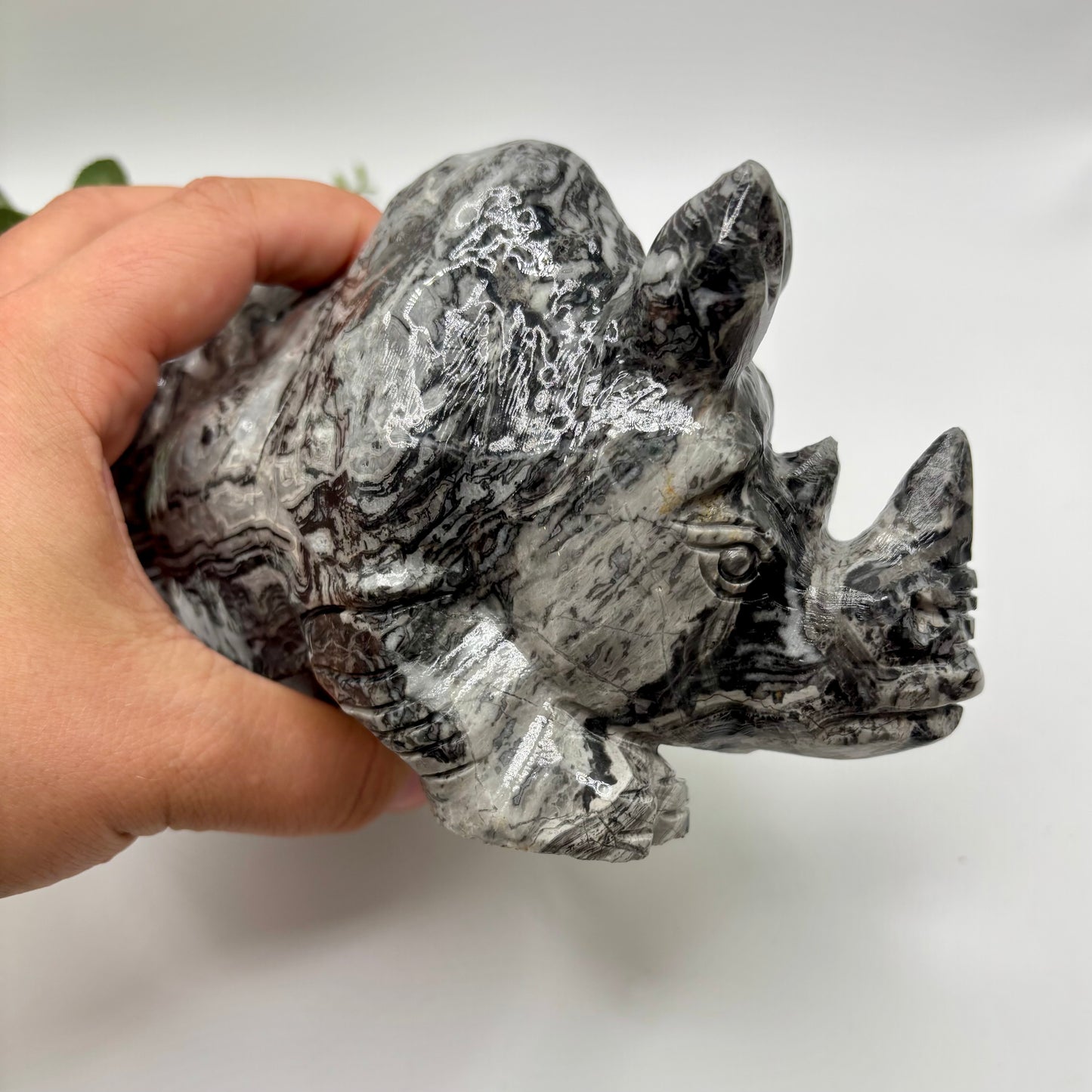 XL Picasso Jasper Rhinoceros