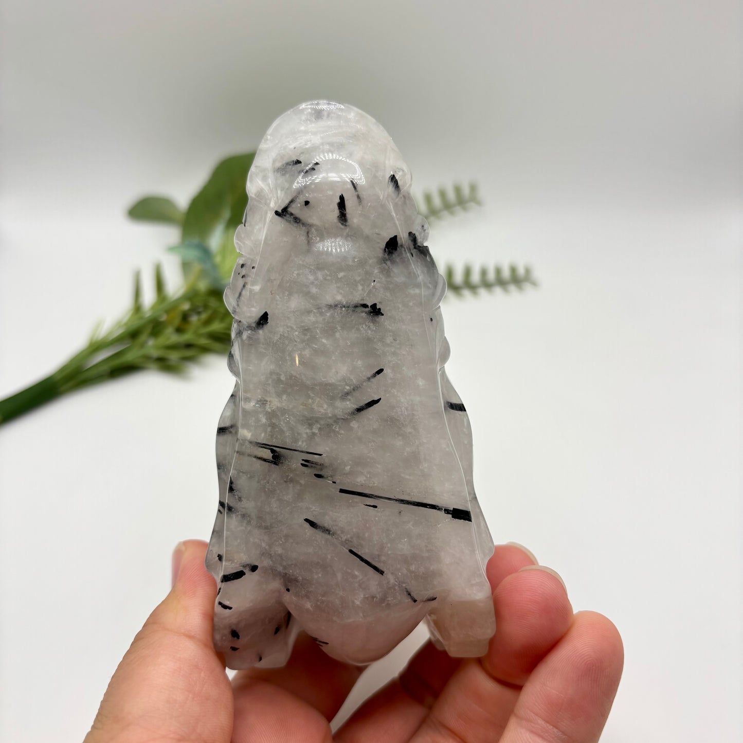 Black Tourmaline in Quartz Dragon Heads