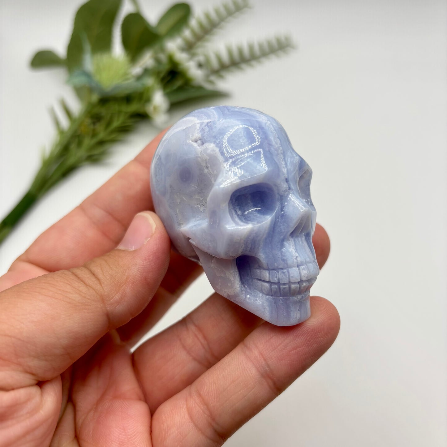 HQ Blue Lace Agate Skull