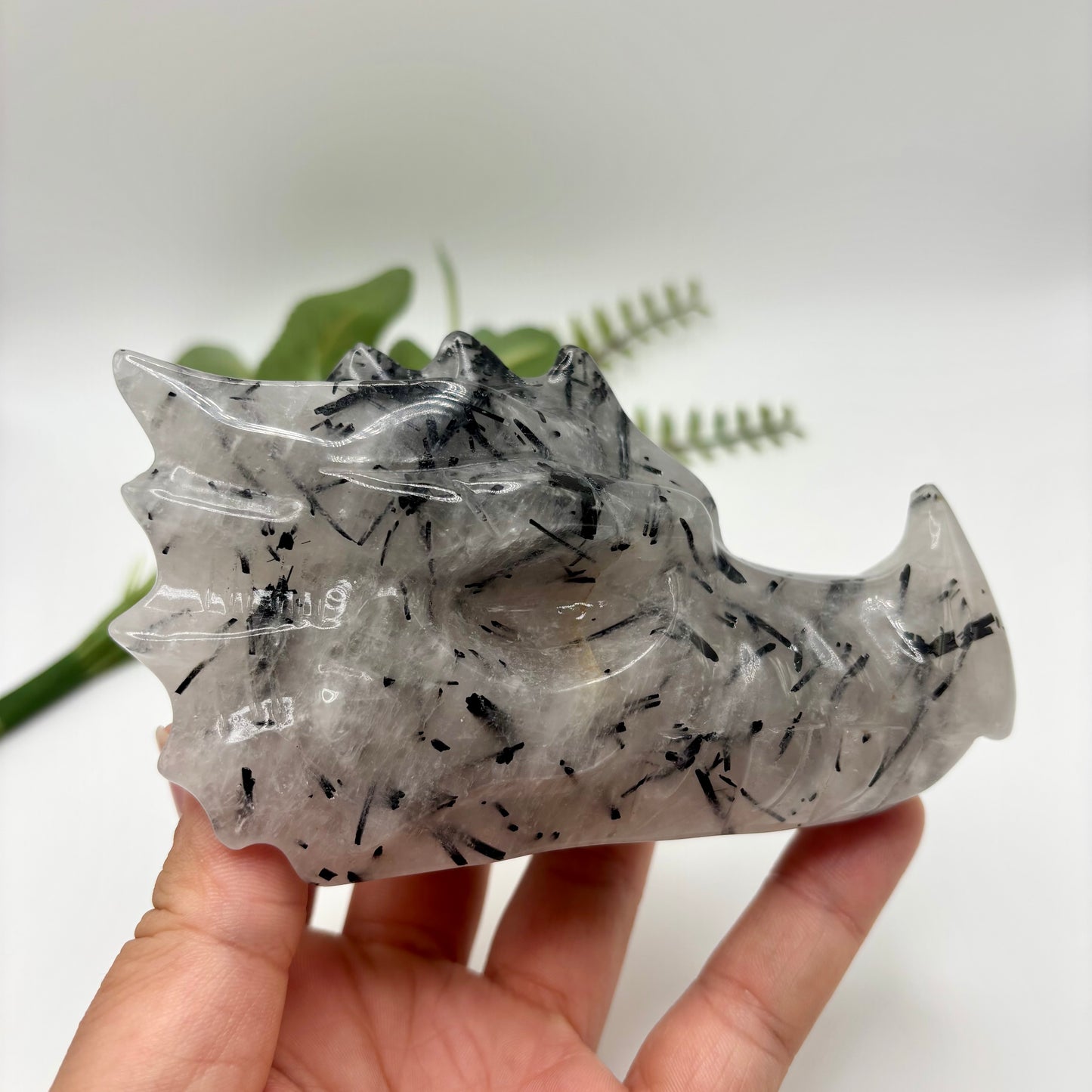 Black Tourmaline in Quartz Dragon Heads