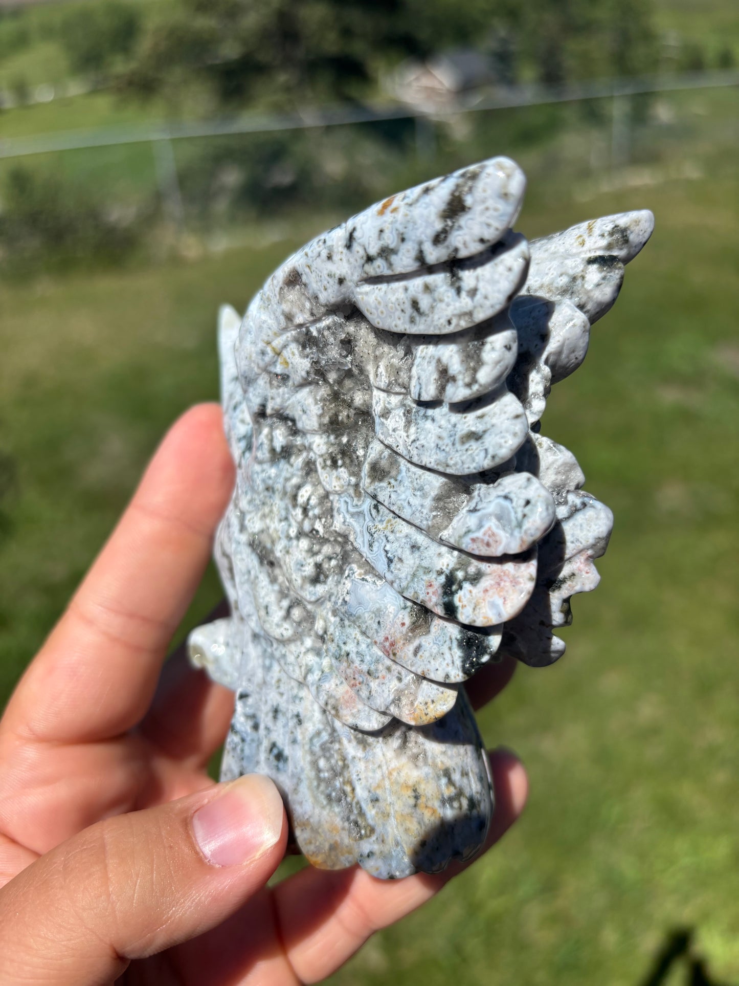 Orbicular Jasper Hummingbird