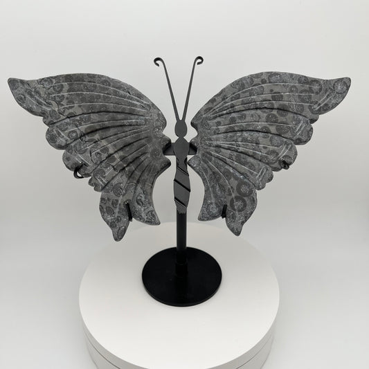 Leopard Jasper Wings