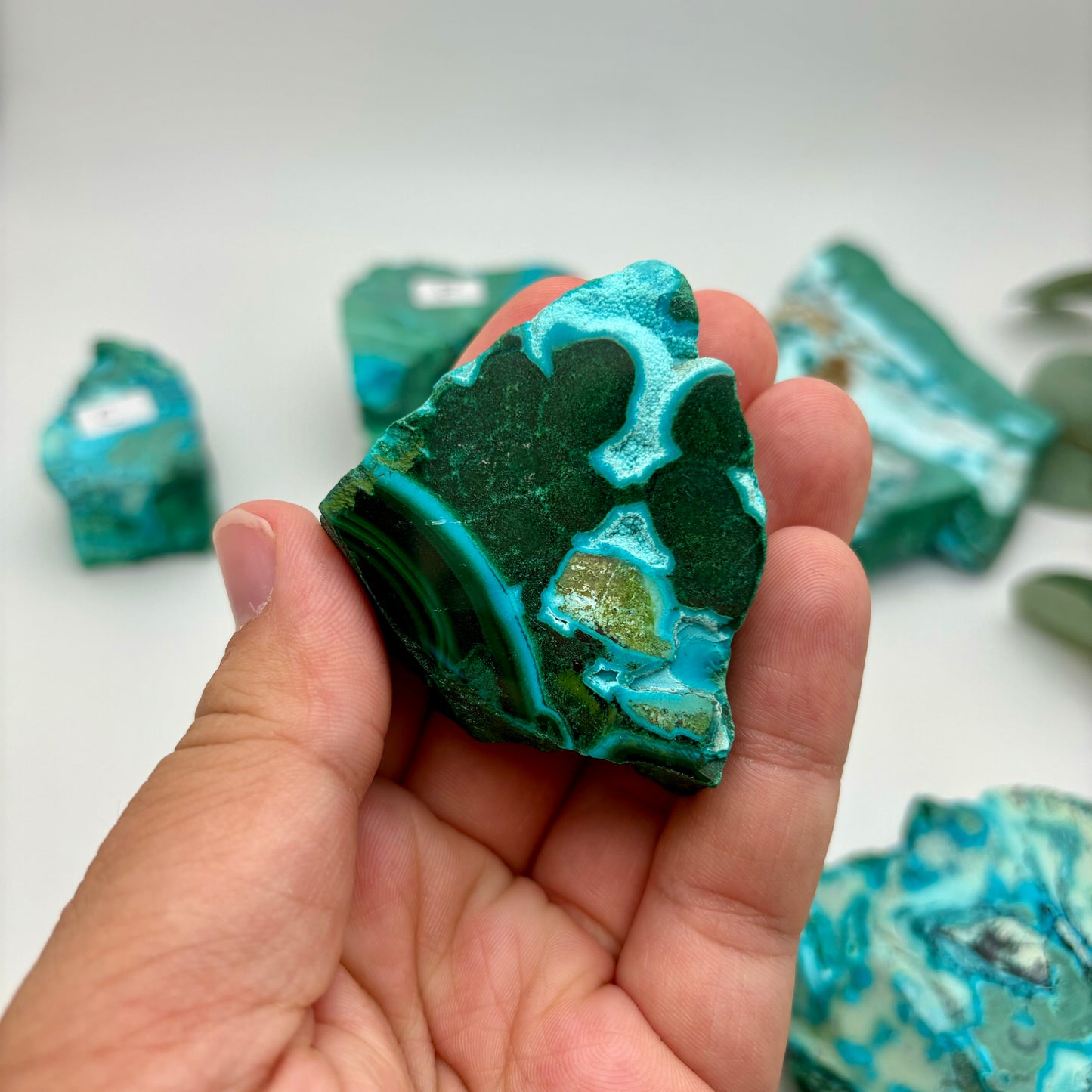 Chrysocolla Malachite Specimens