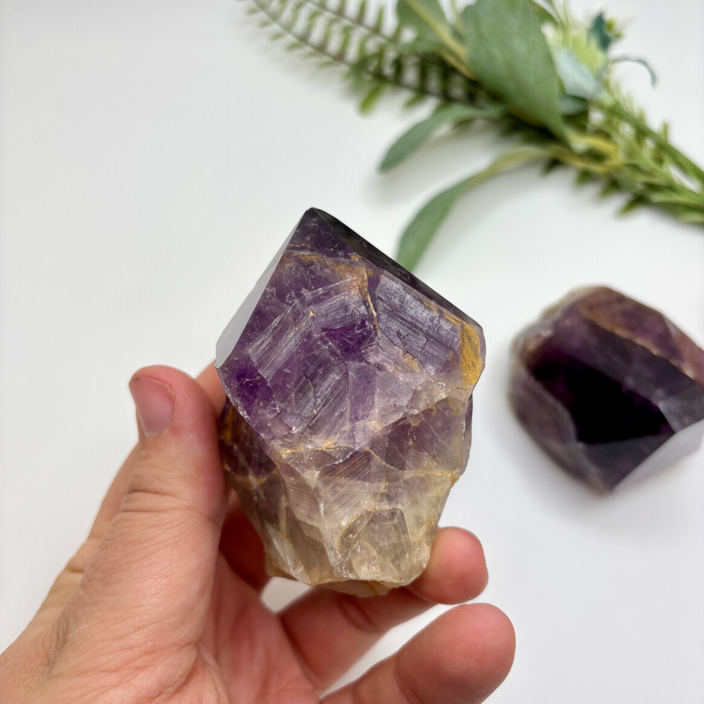 Amethyst Roots