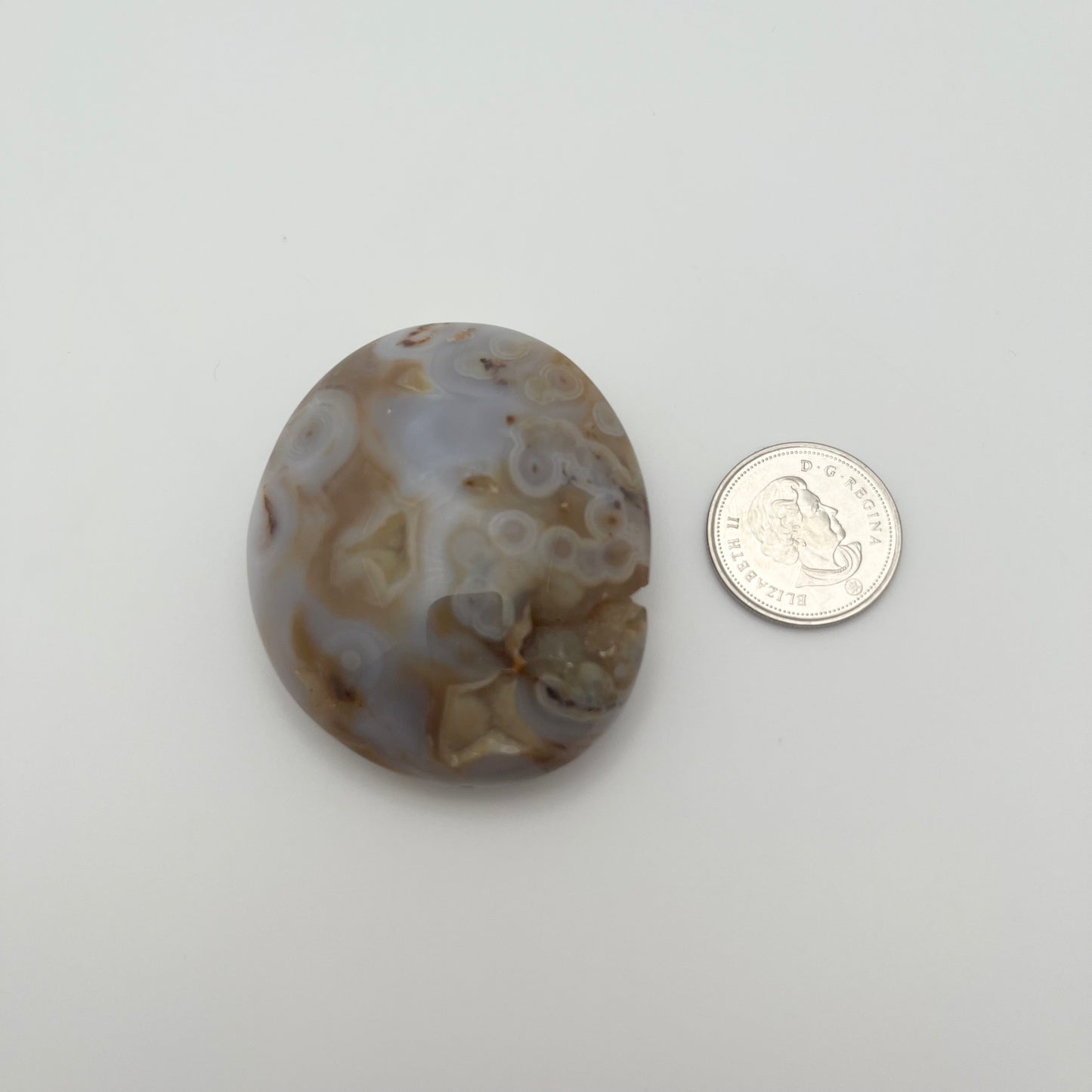 8th Vein Ocean Jasper Palm Stone