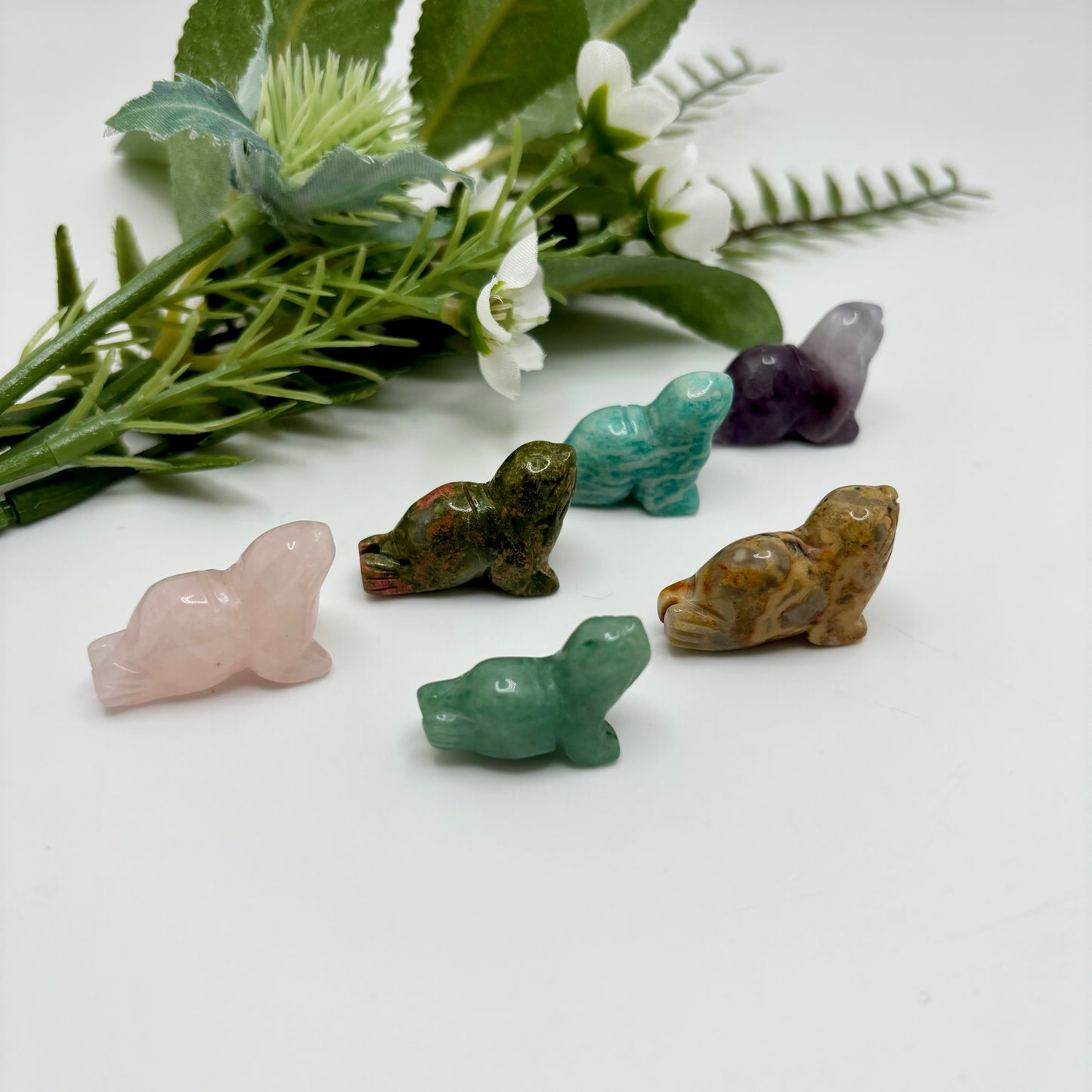 Mini Seals