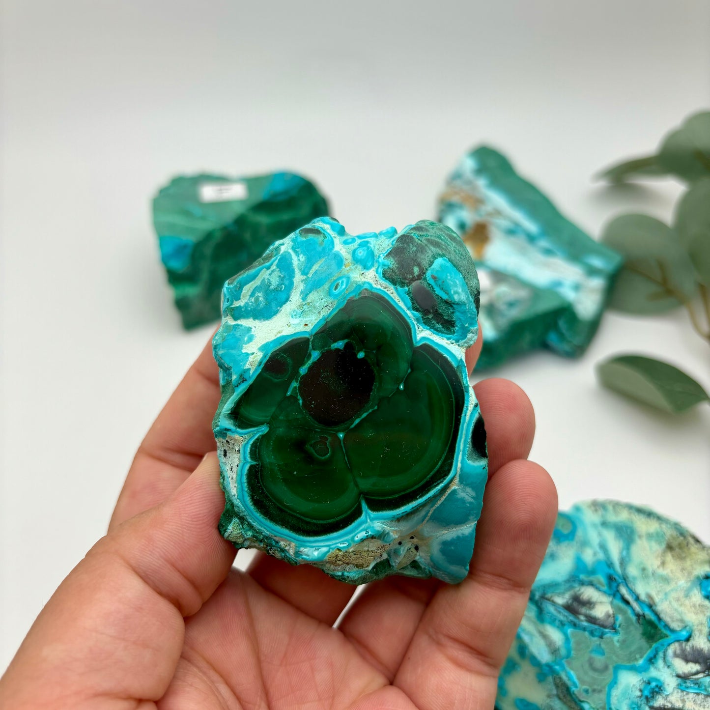 Chrysocolla Malachite Specimens