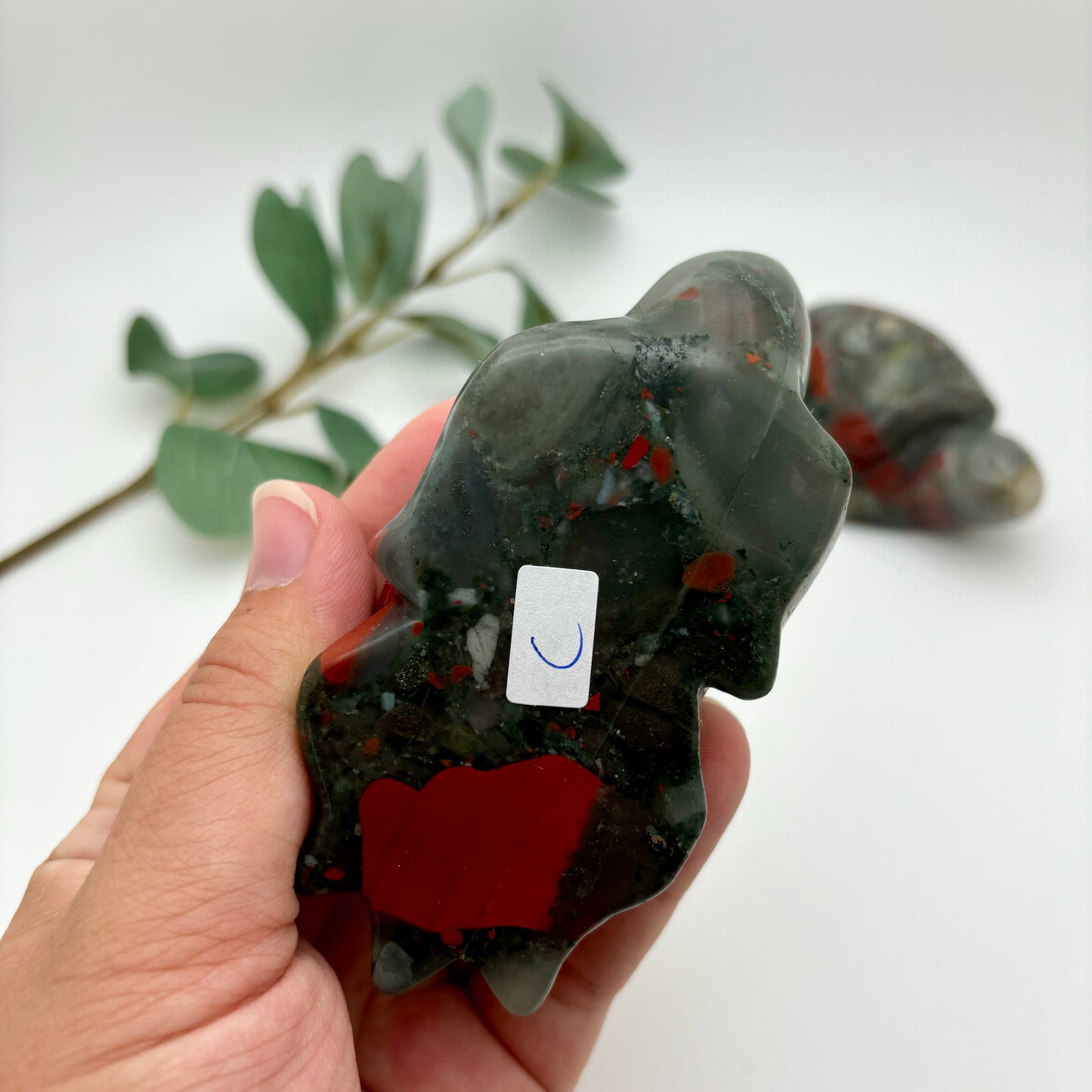 African Bloodstone Sea Turtles