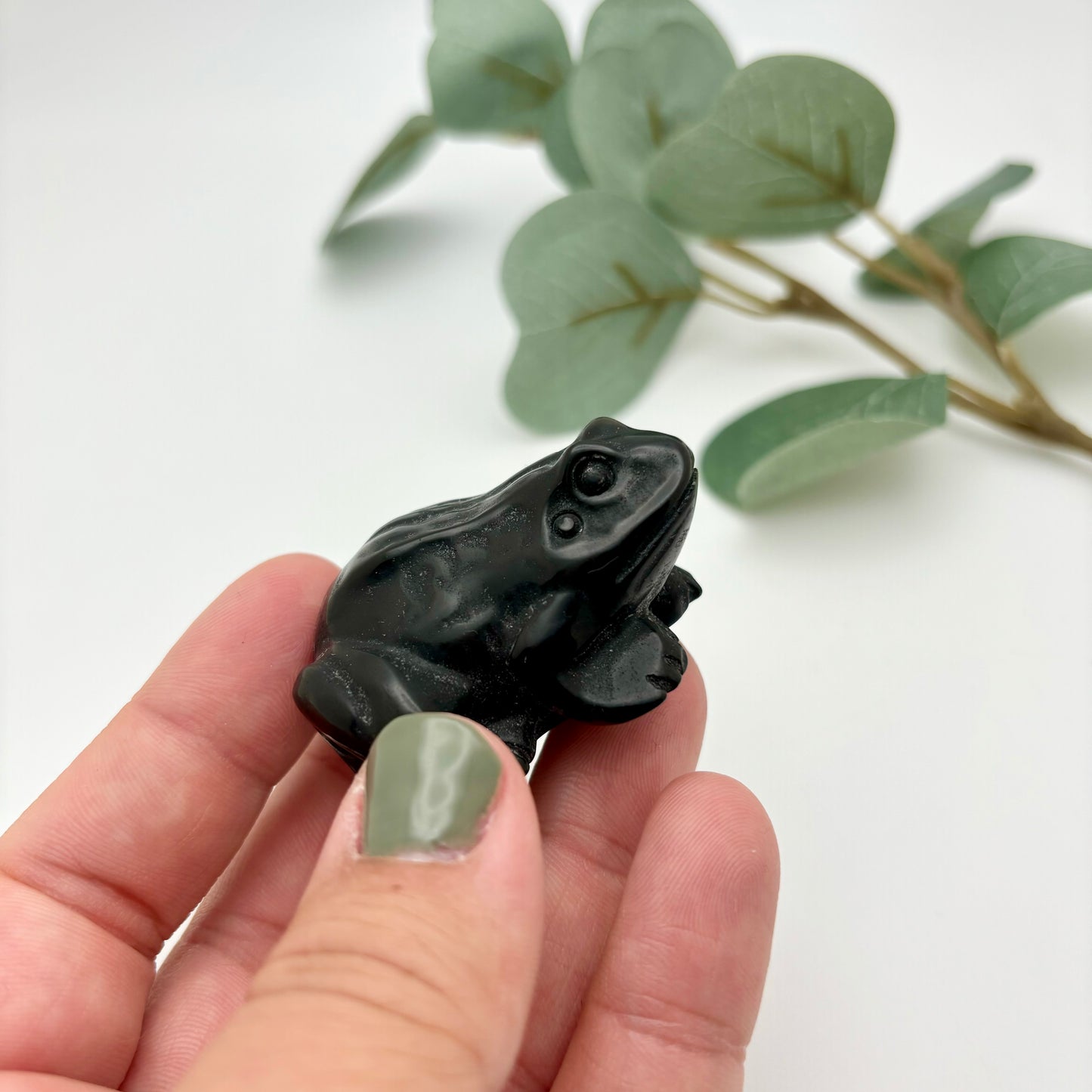 Obsidian Froggy
