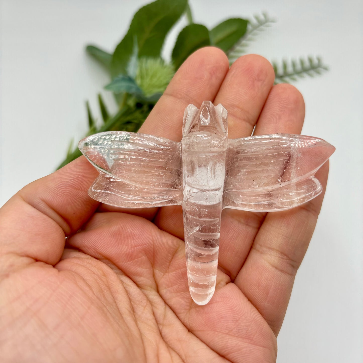 Clear Quartz Dragonfly