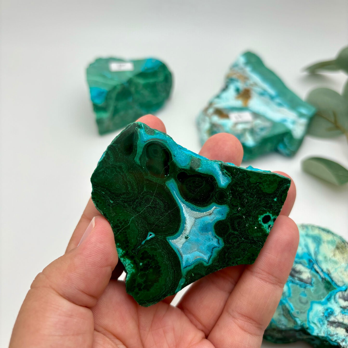 Chrysocolla Malachite Specimens