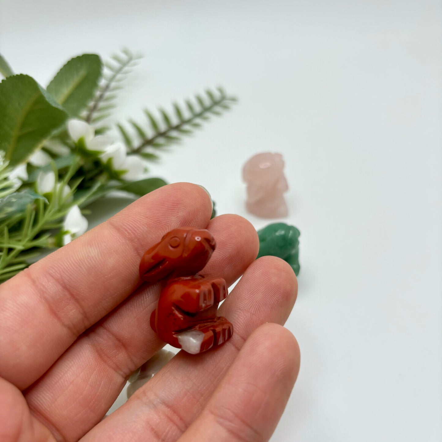Mini Rabbits