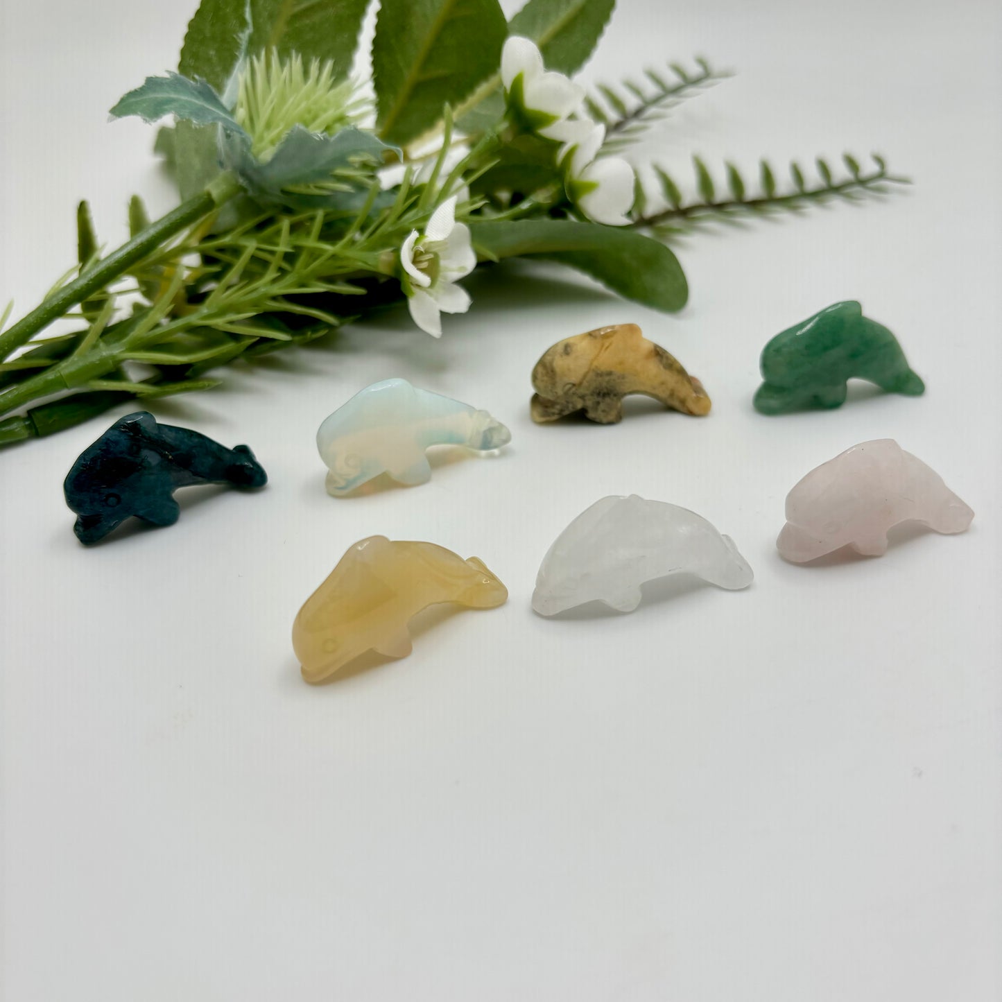 Mini Dolphins
