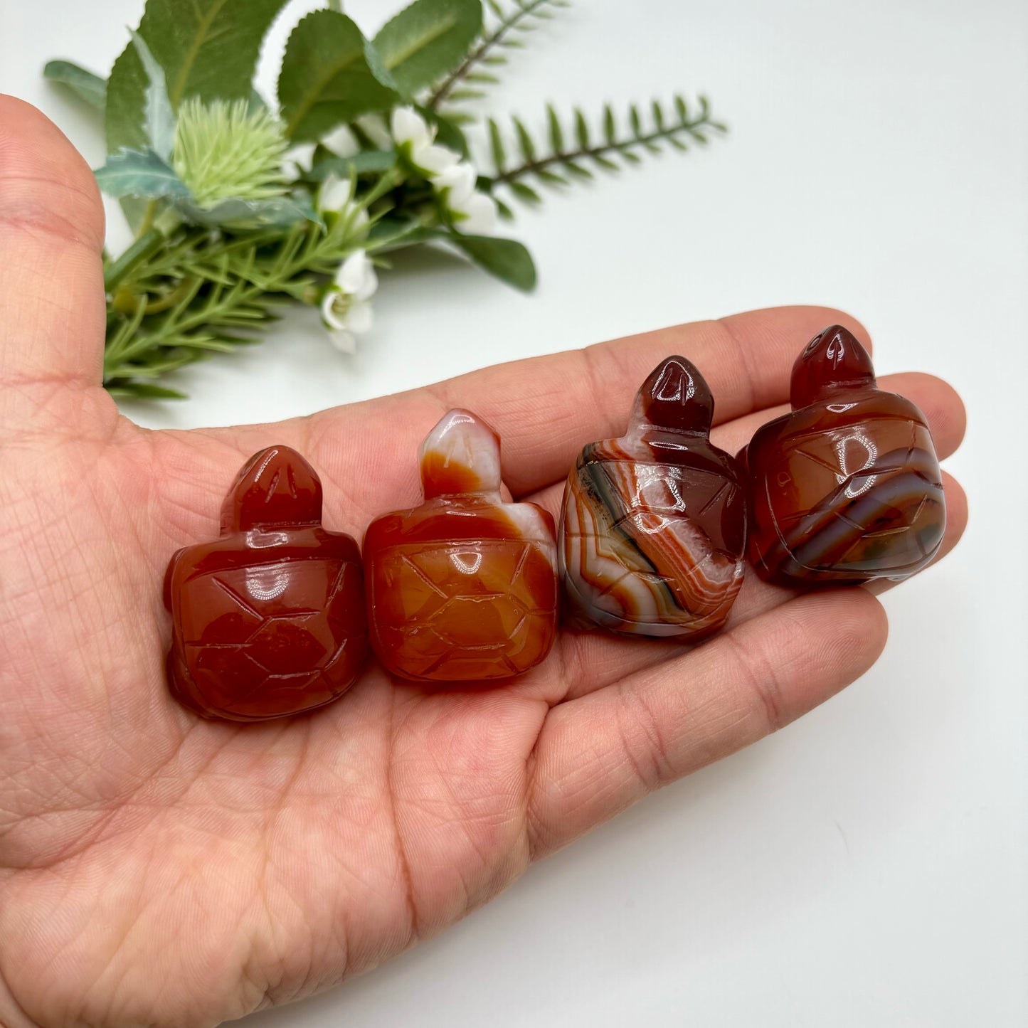 Carnelian Turtles