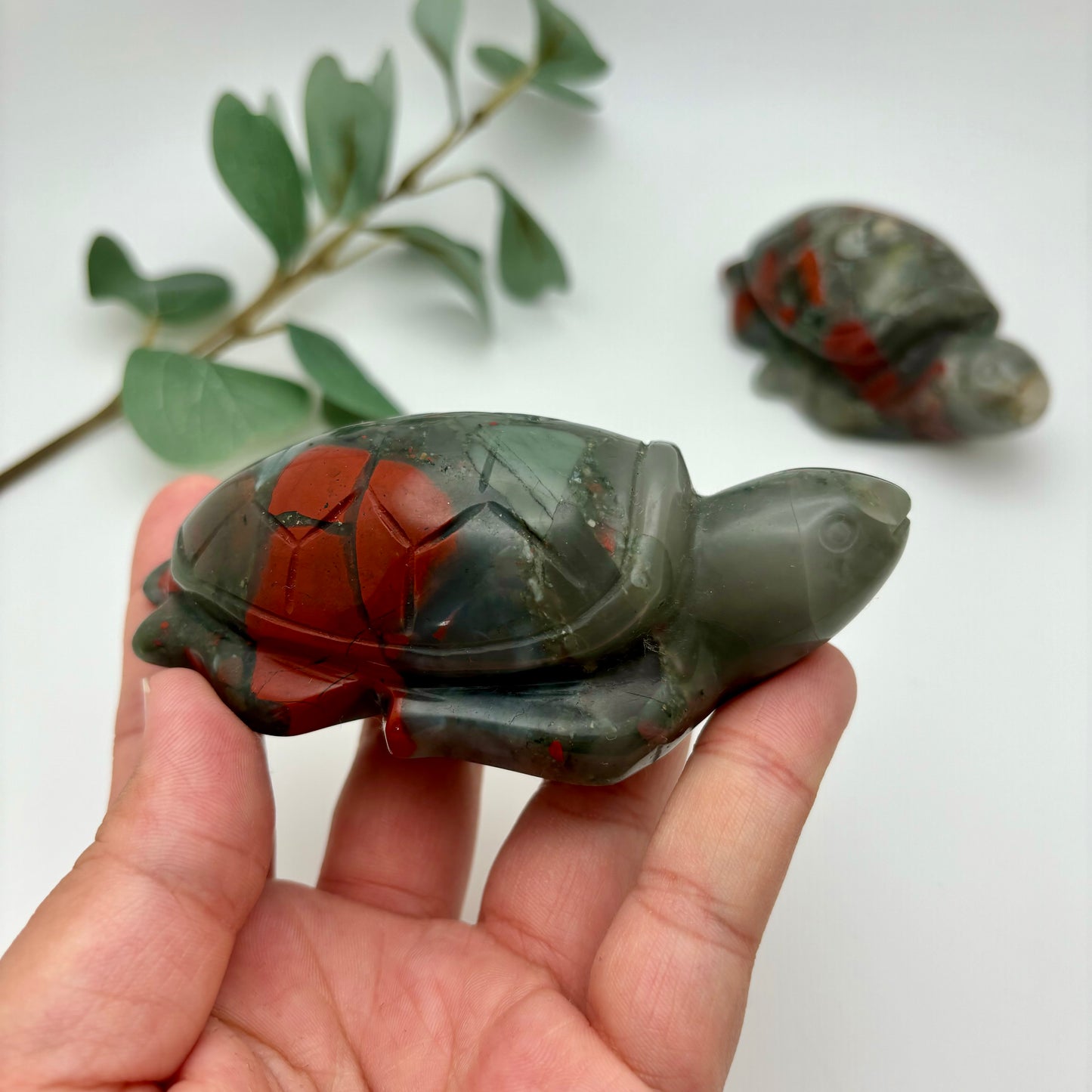 African Bloodstone Sea Turtles