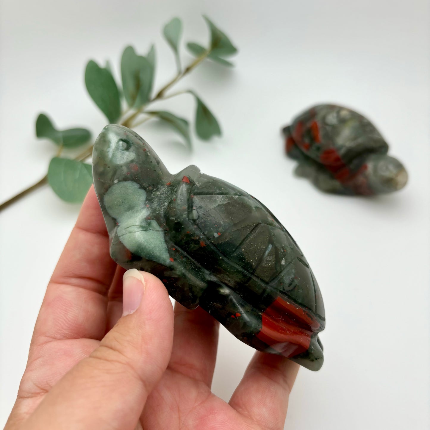 African Bloodstone Sea Turtles