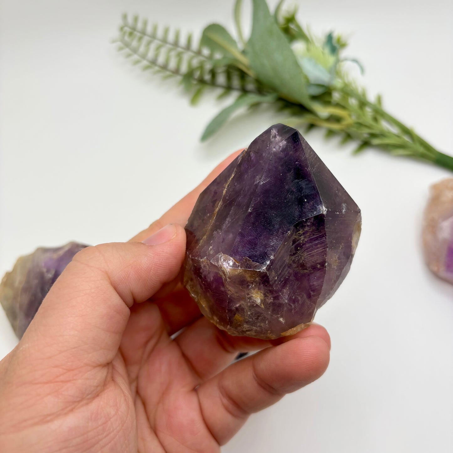 Amethyst Roots