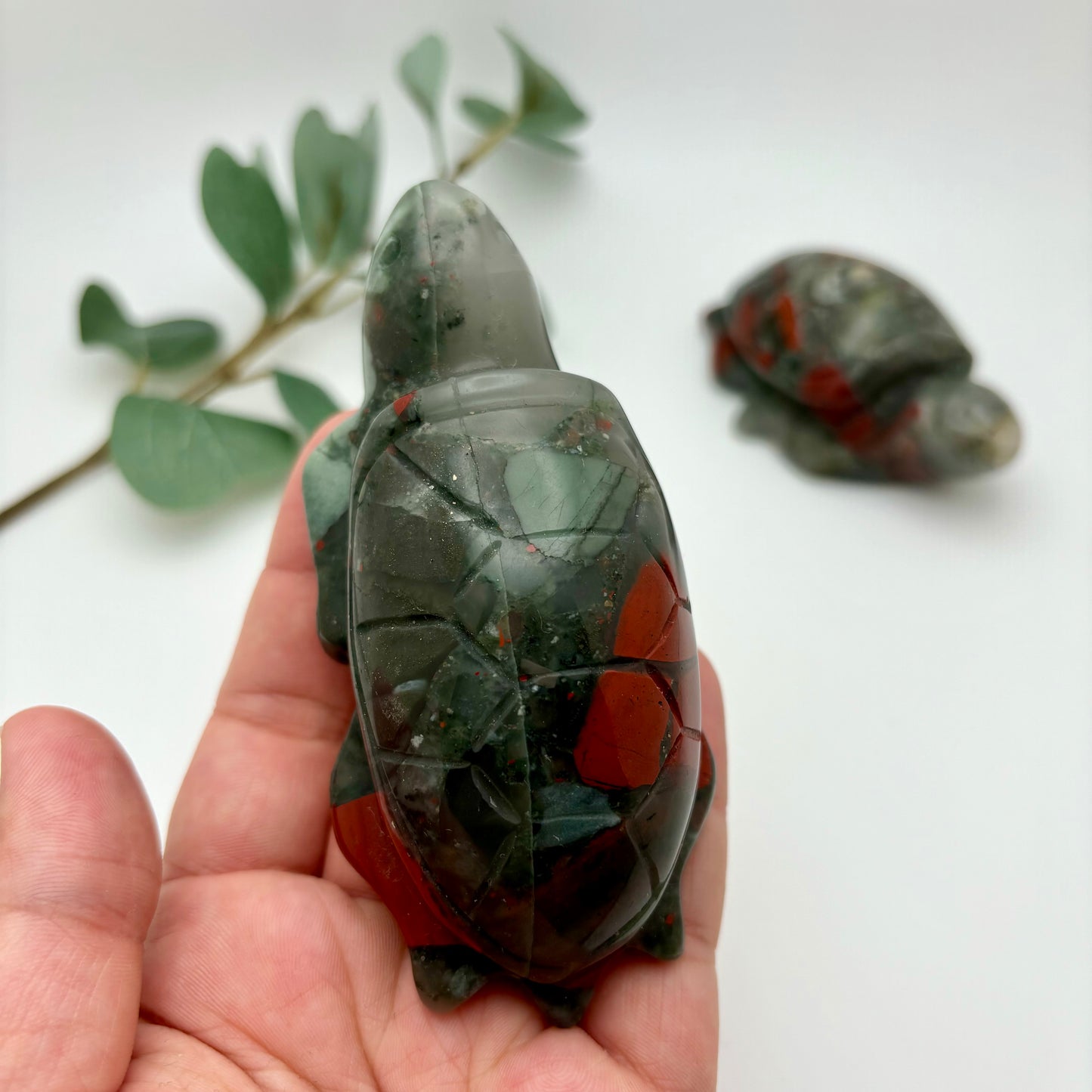African Bloodstone Sea Turtles