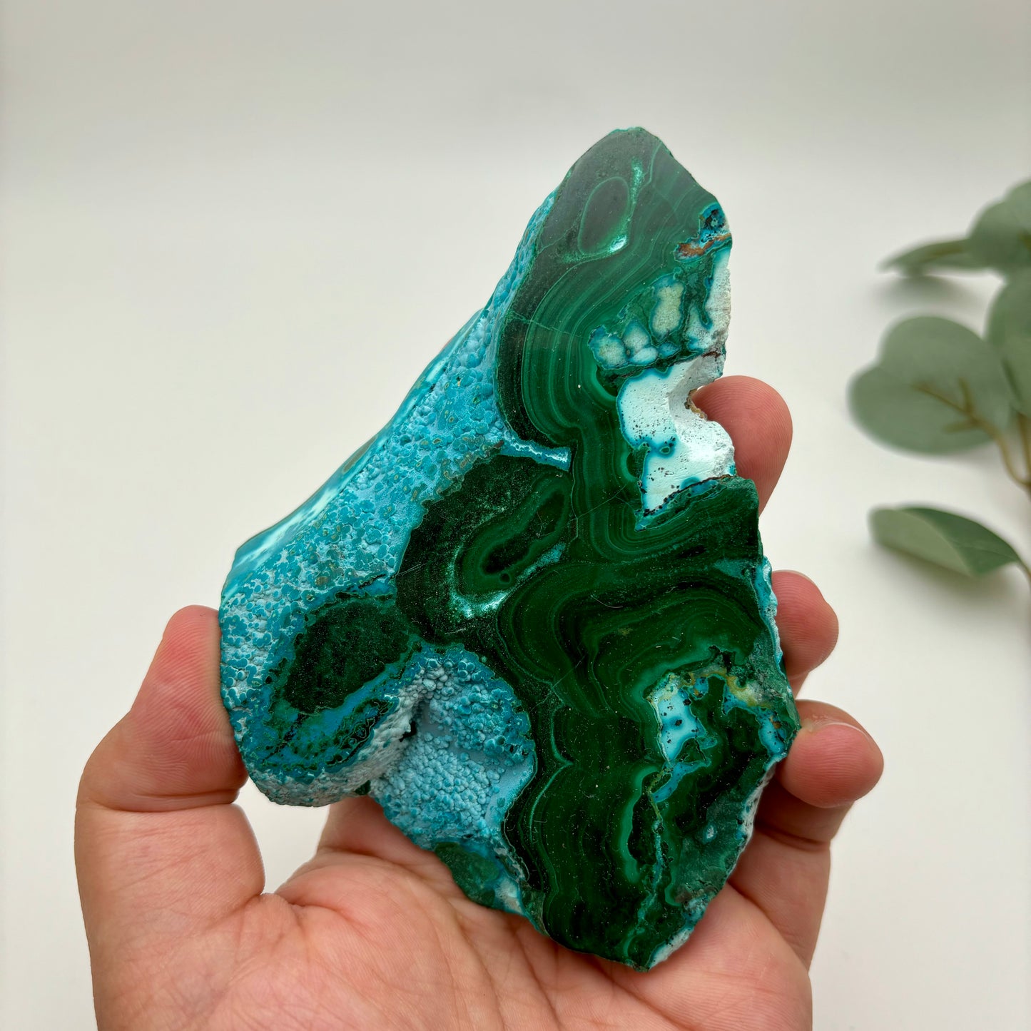 Chrysocolla Malachite Specimens