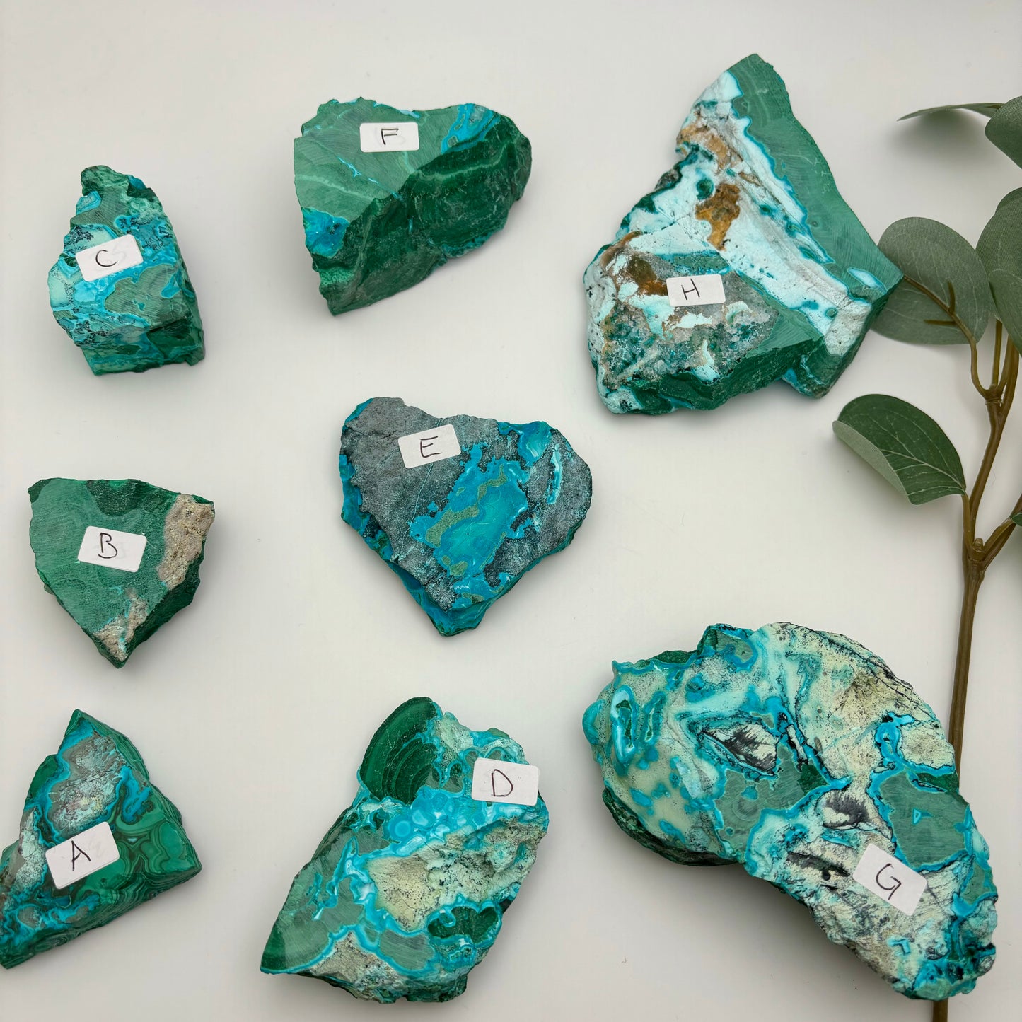 Chrysocolla Malachite Specimens