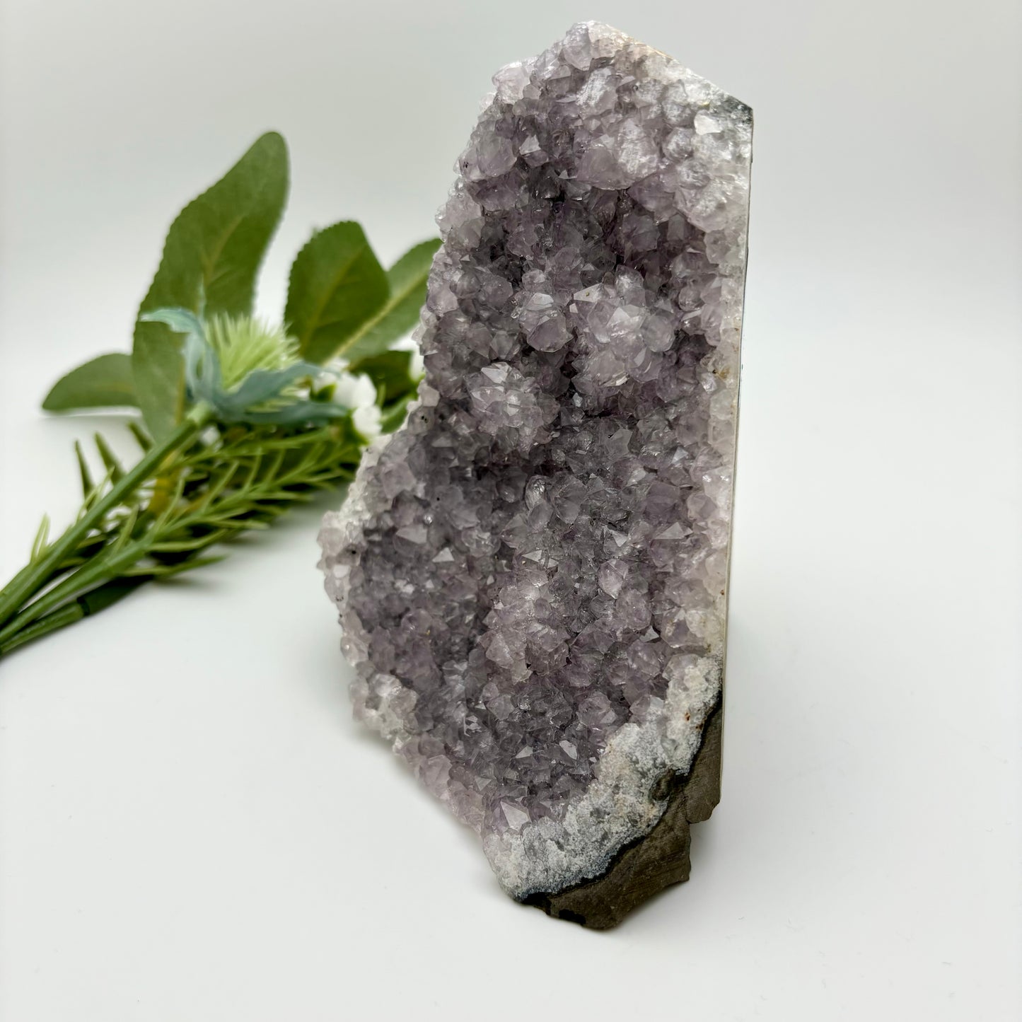 Amethyst Cut Bases