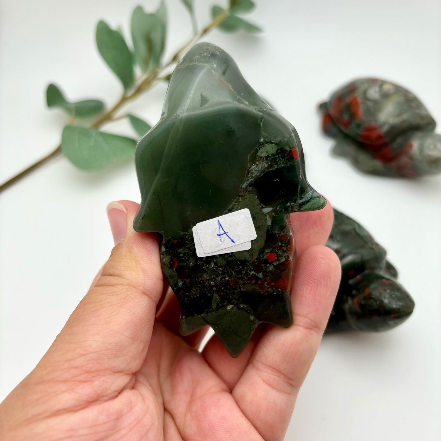 African Bloodstone Sea Turtles